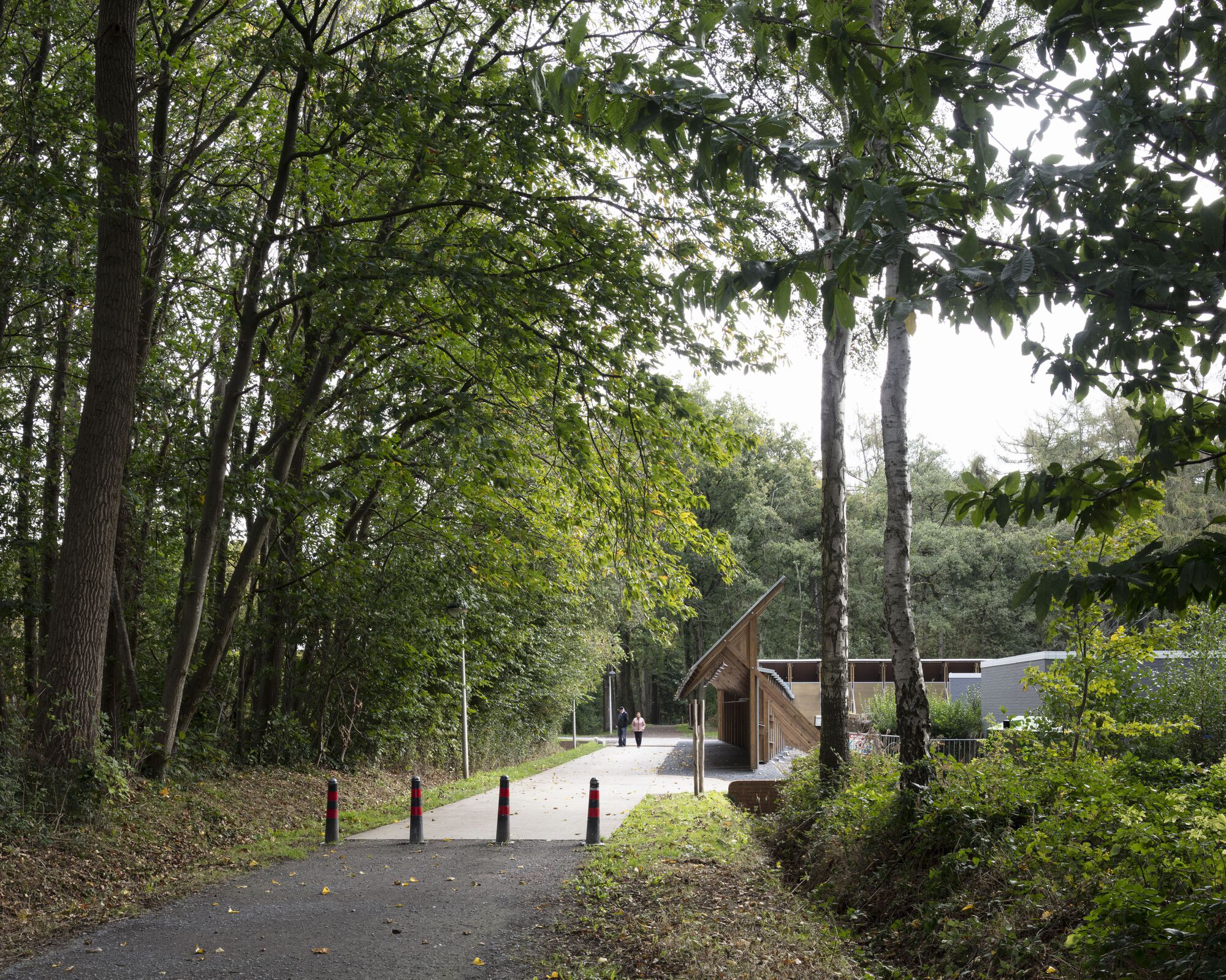 Distant view of timber portal structures glimpsed through mature trees along a wooded pathway