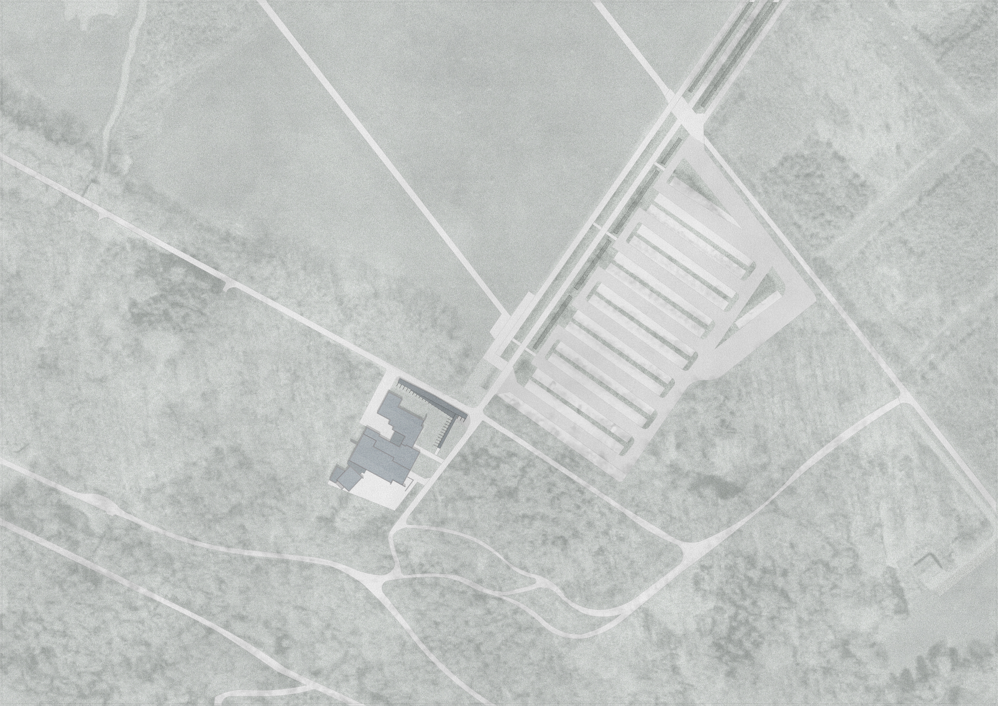 Site plan drawing showing the clustered volumes and adjacent linear structure within the landscape