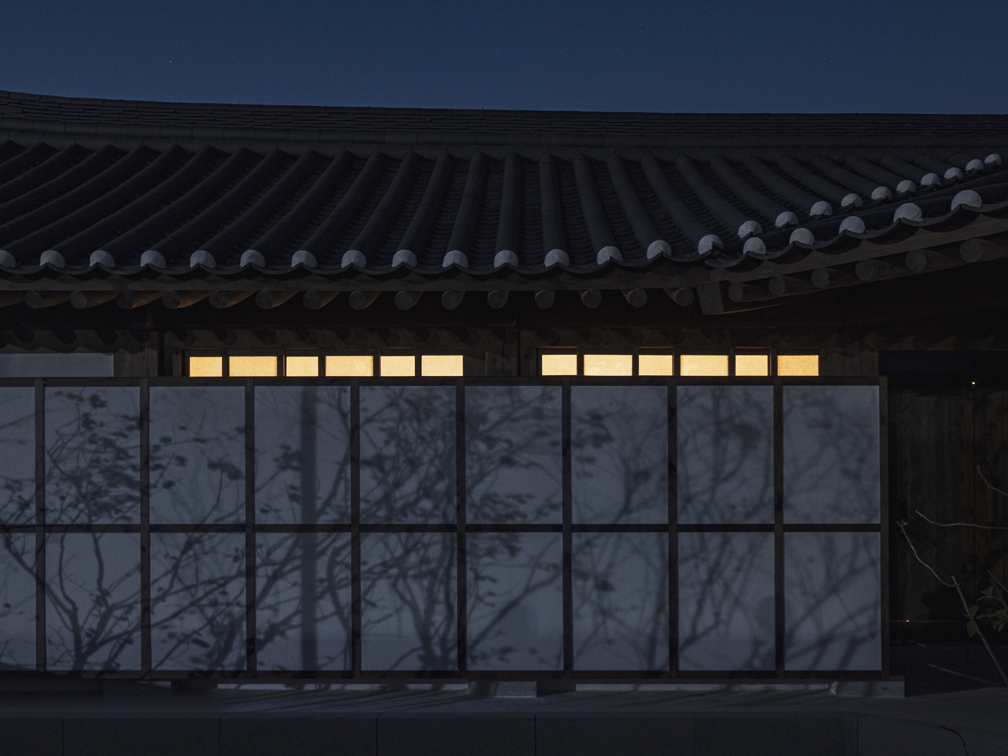 Translucent screen wall with tree branch shadows beneath a curved tiled roof with ceramic cap tiles
