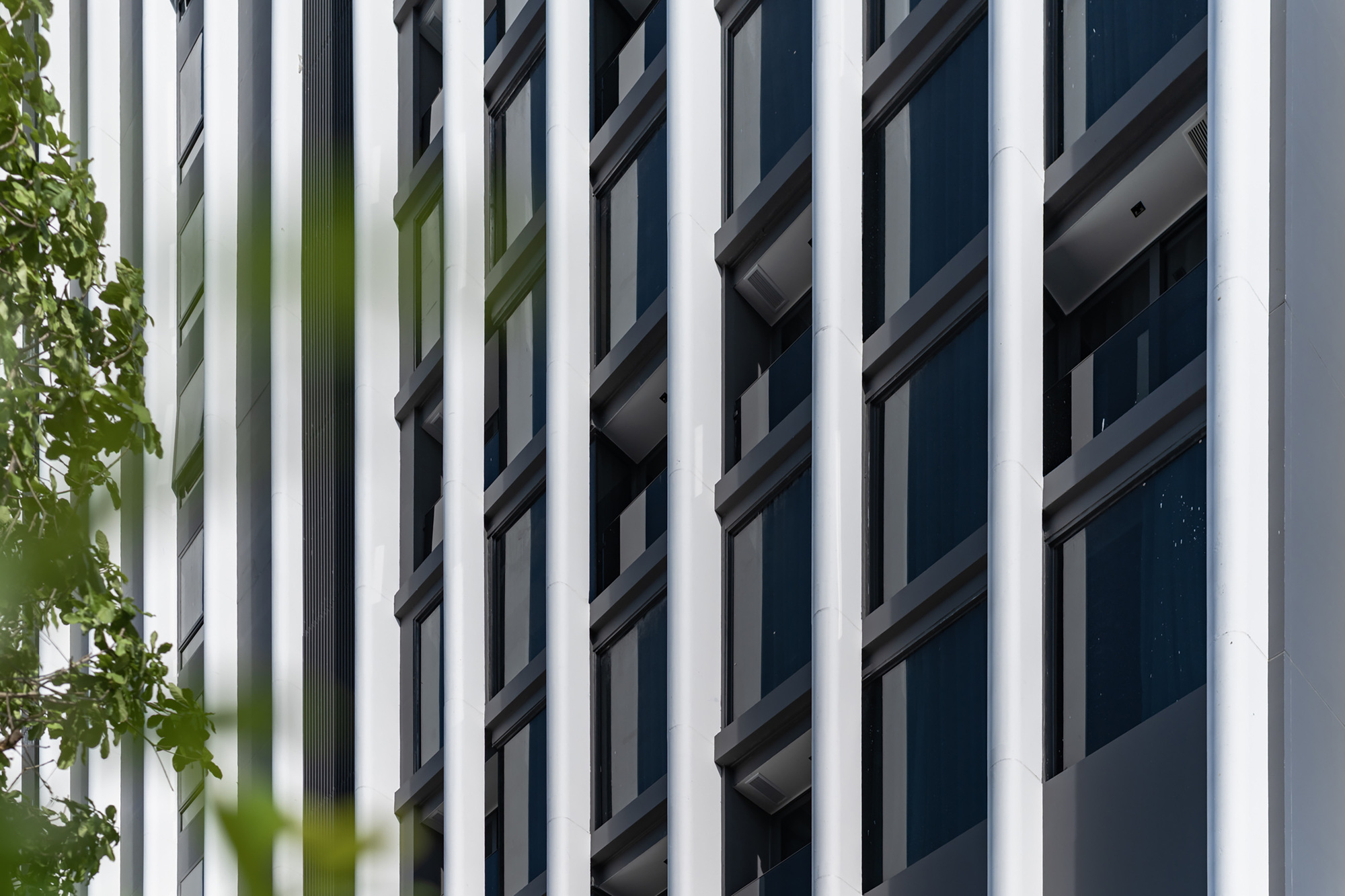 Vertical white fins alternating with dark glazed openings framed by green foliage at left