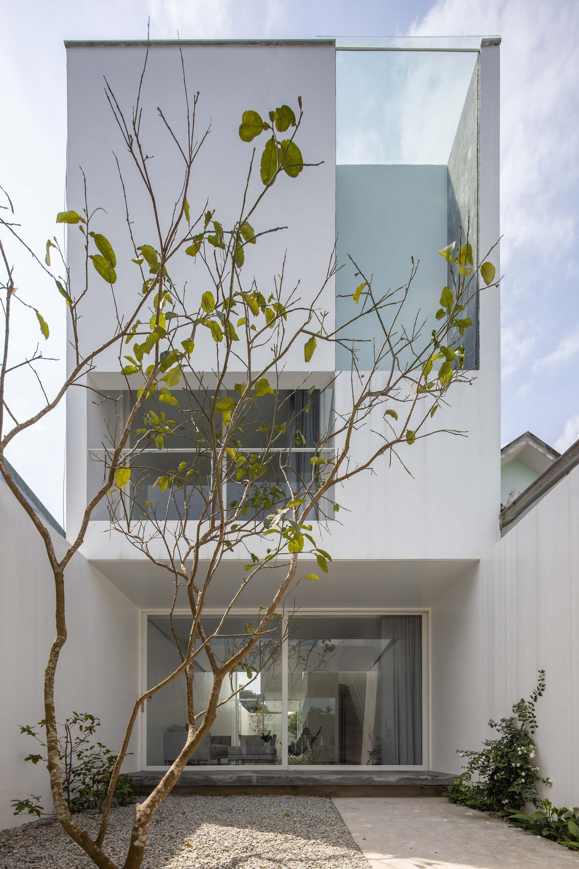 White facade with stacked balconies viewed past a young tree with sparse green leaves