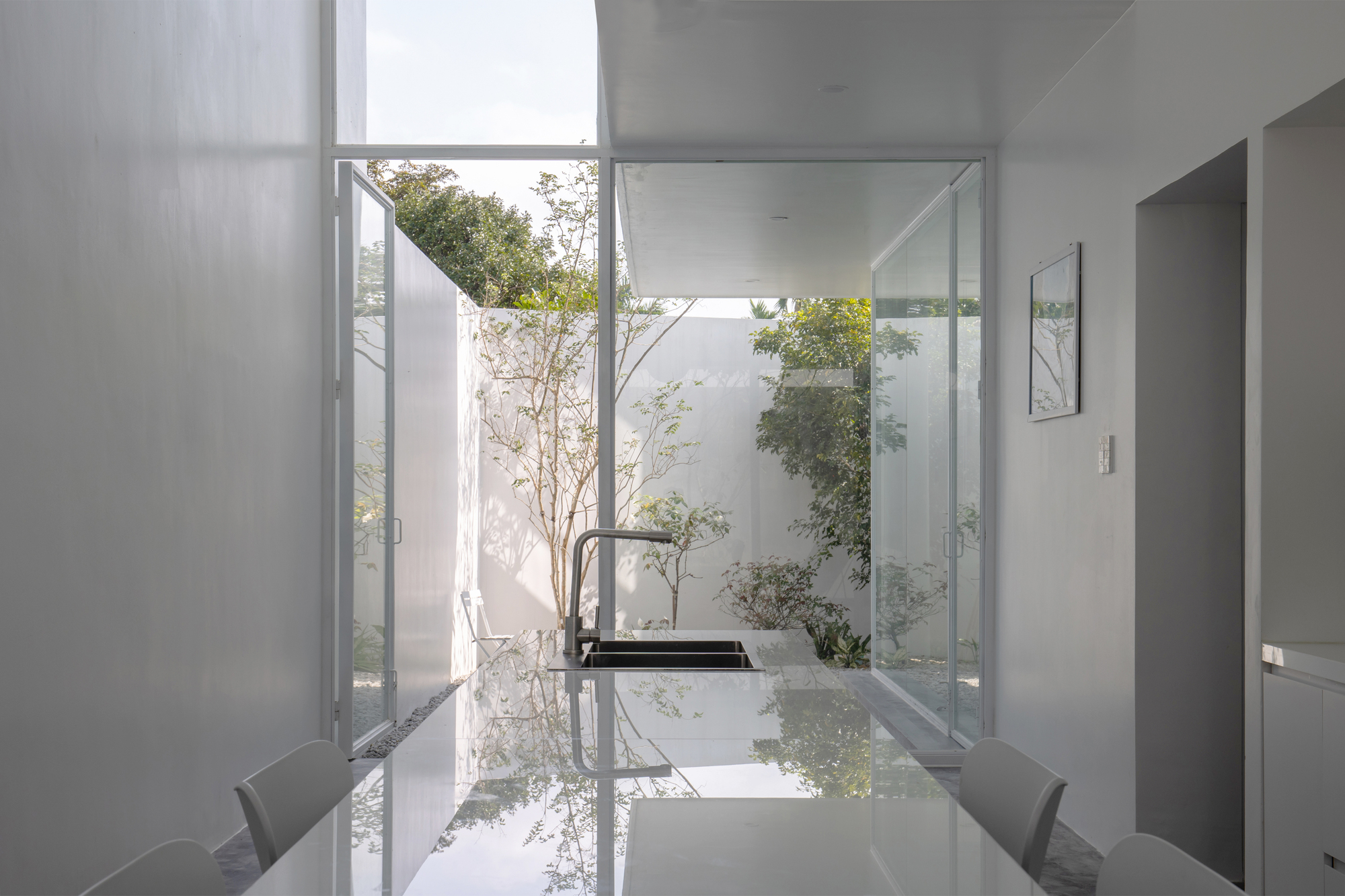 Interior courtyard with a single tree and glazed walls reflecting the surrounding planting