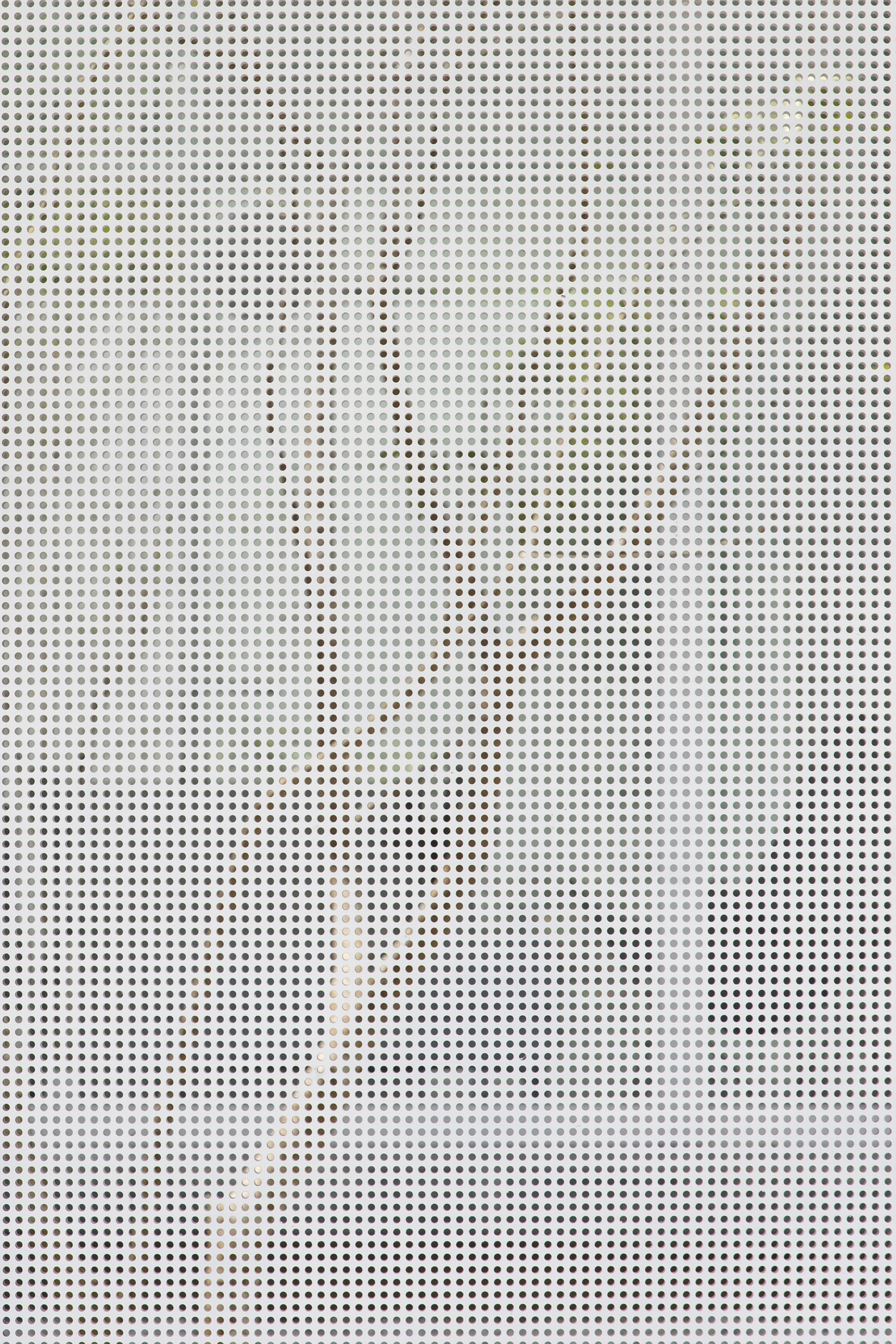 Close-up of perforated white metal screen with tree shadows cast across the surface