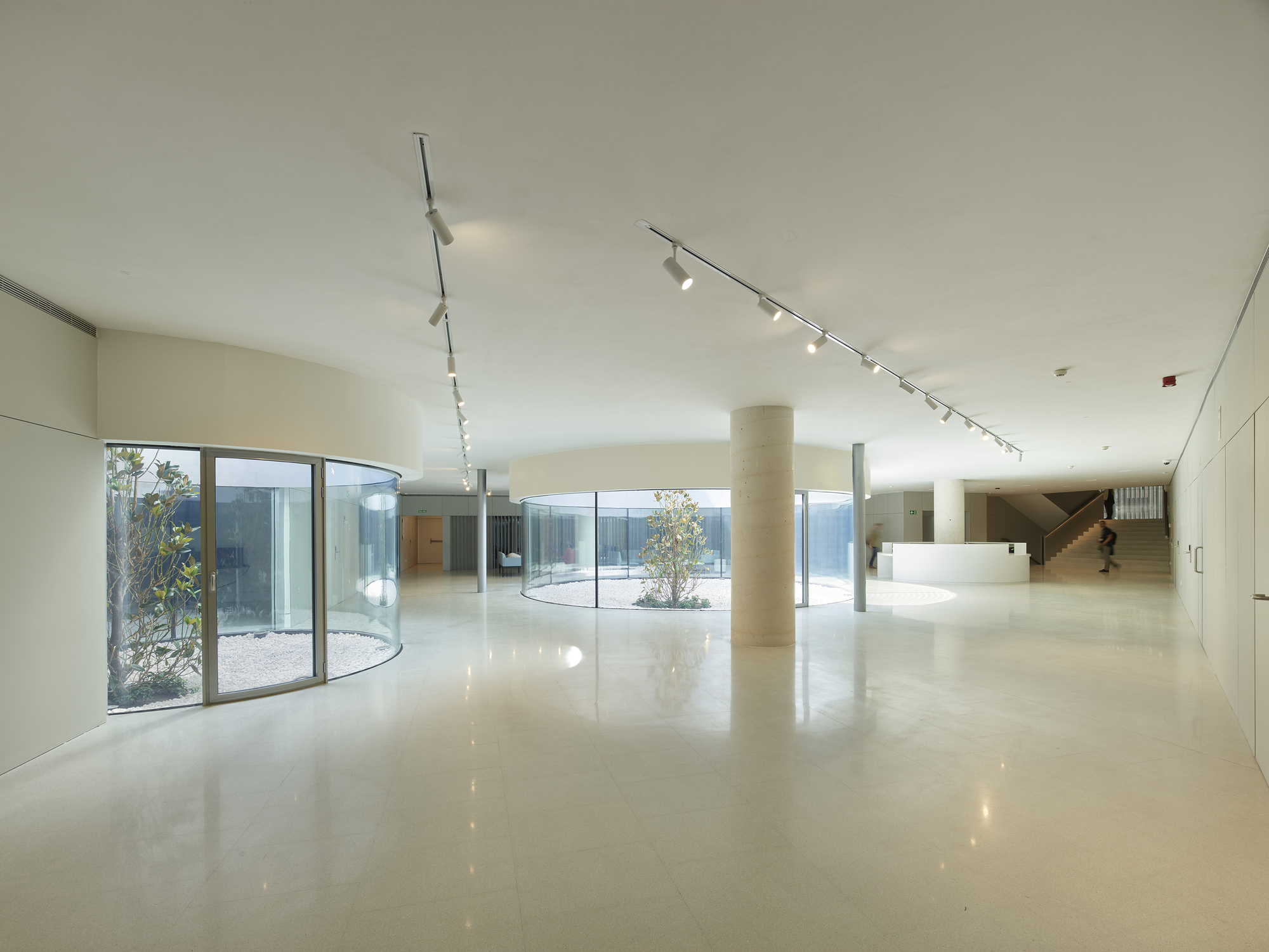 Interior lobby with polished floors, cylindrical column, curved glass wall overlooking a courtyard, and track lighting