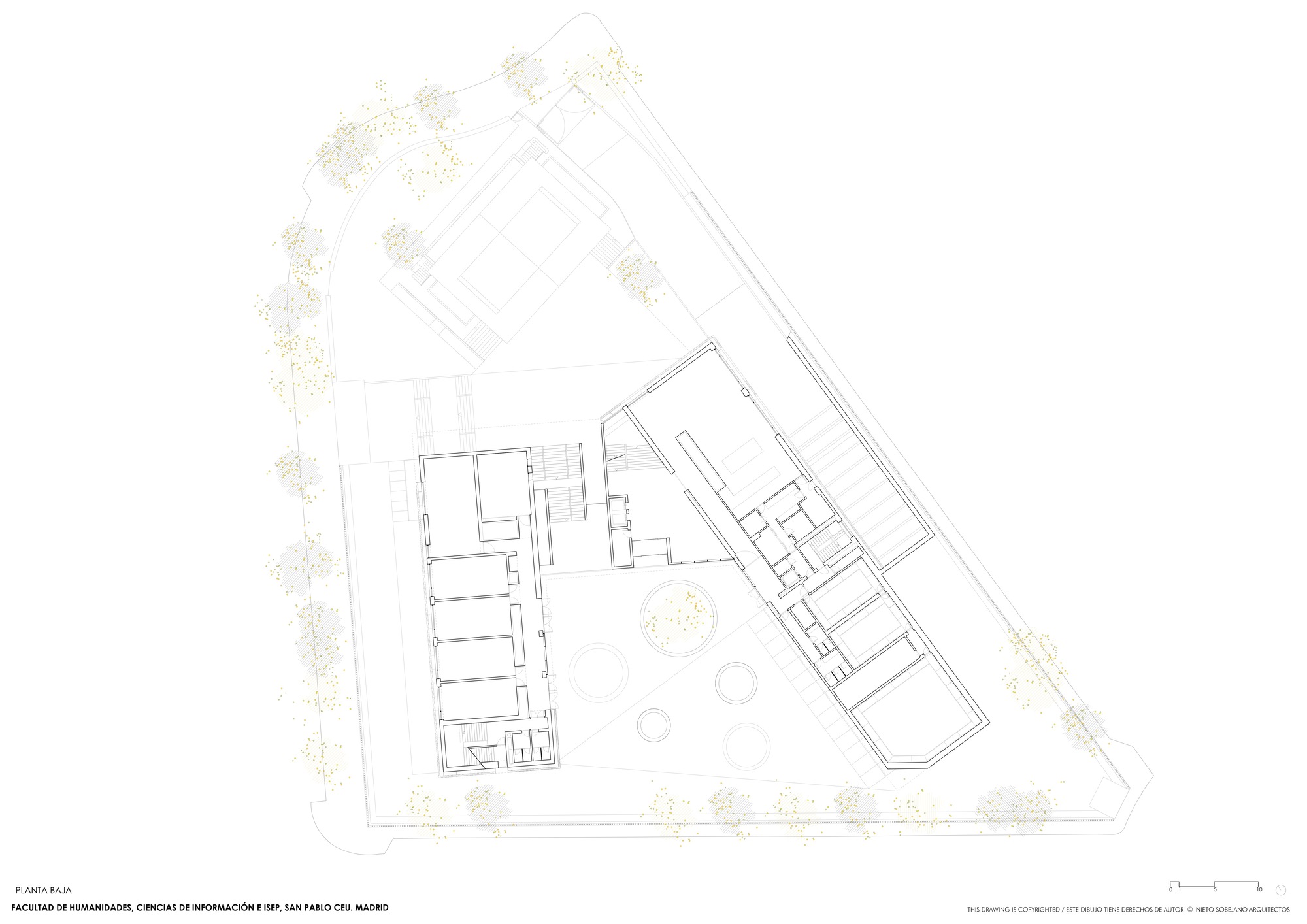 Ground floor plan drawing showing two angled volumes framing a triangular courtyard with circular features
