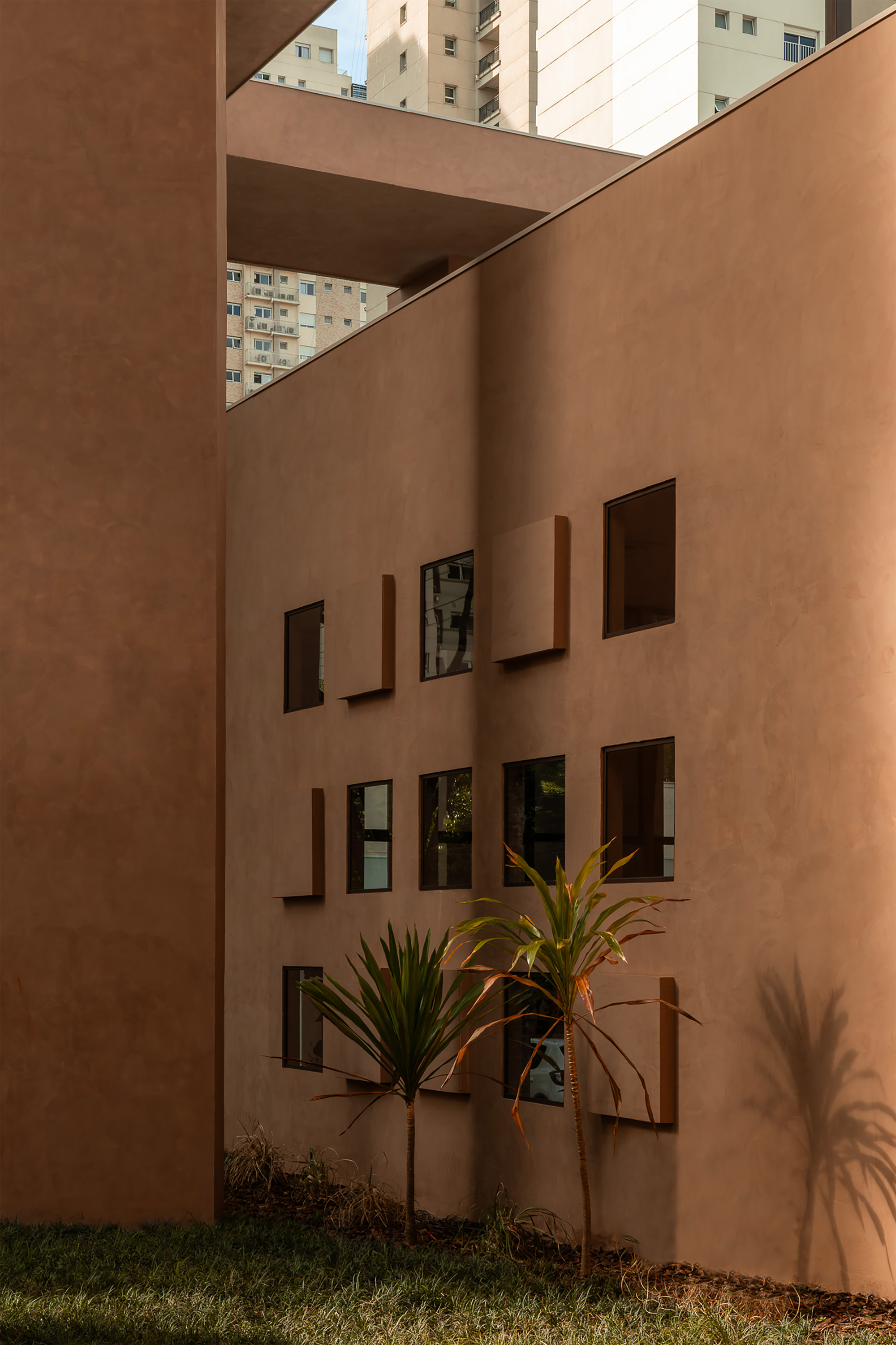 Courtyard view of terracotta walls with irregularly placed window openings and palms in planted beds