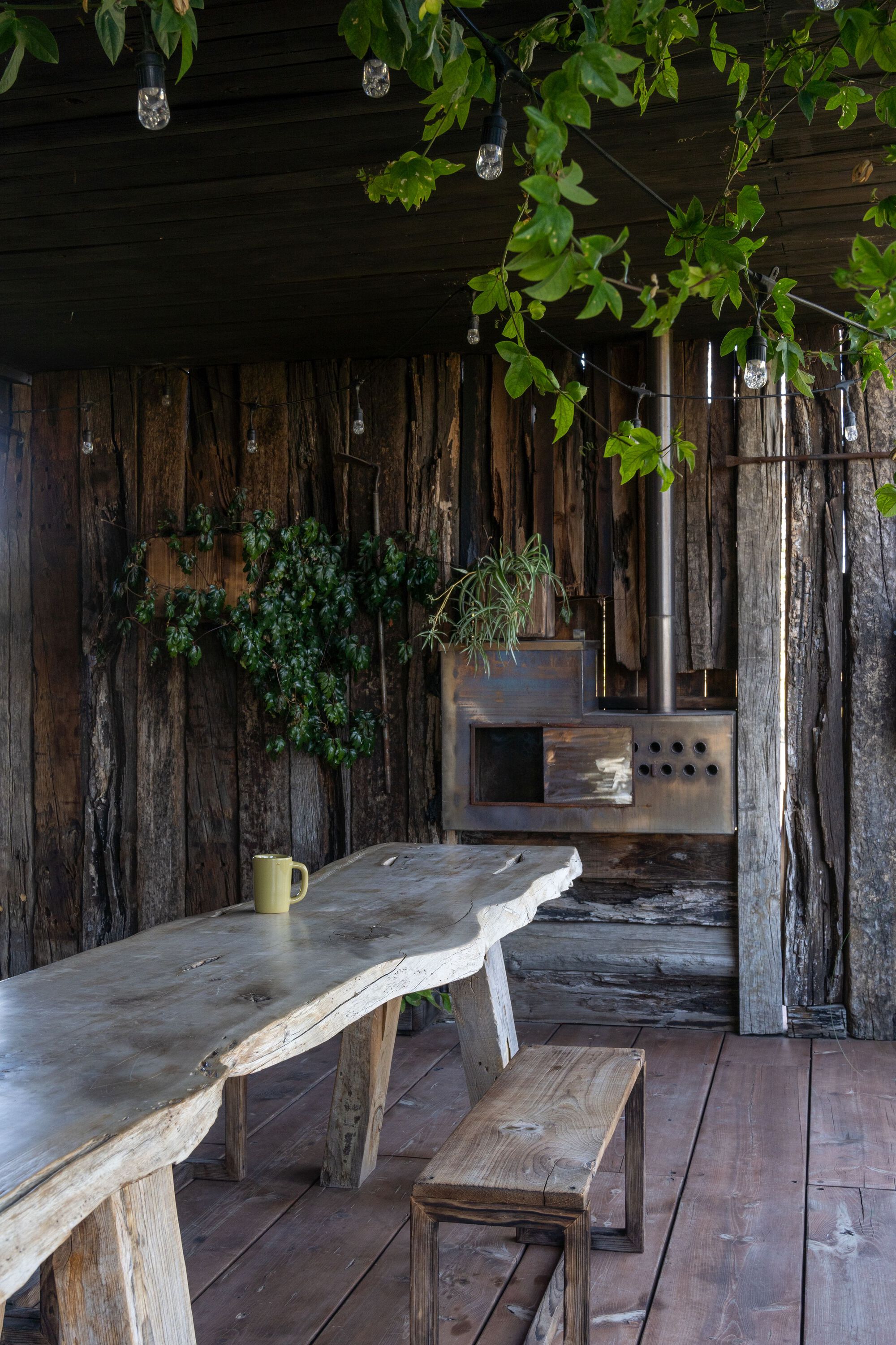 Live-edge timber dining table and benches beneath a weathered wood wall with hanging plants and pendant lights