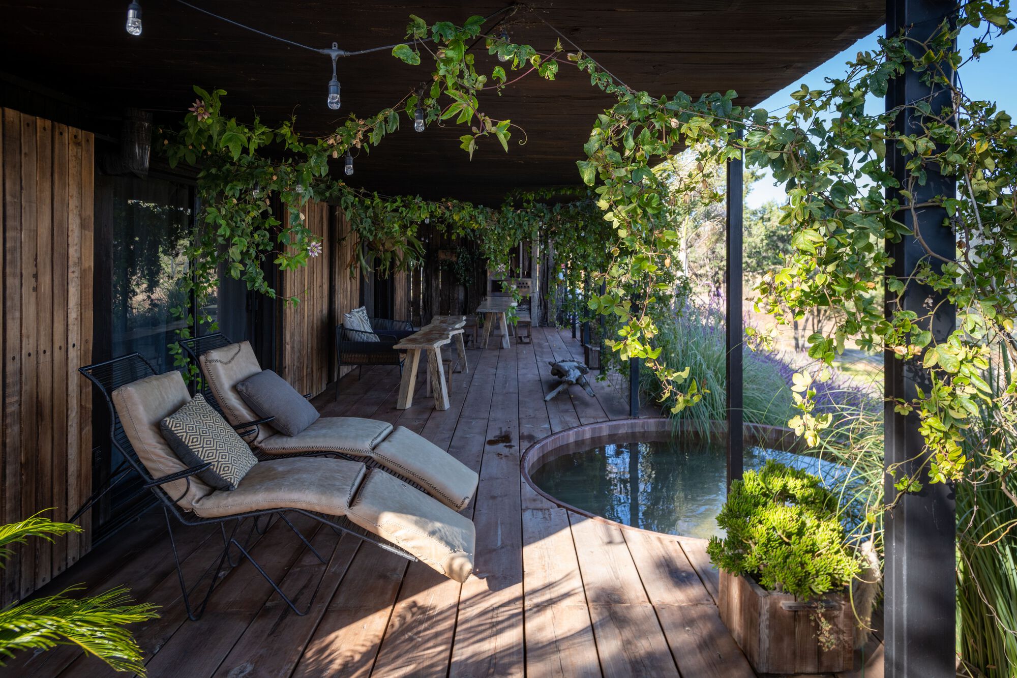 Covered timber deck with lounge chairs and circular plunge pool surrounded by hanging vines in afternoon light