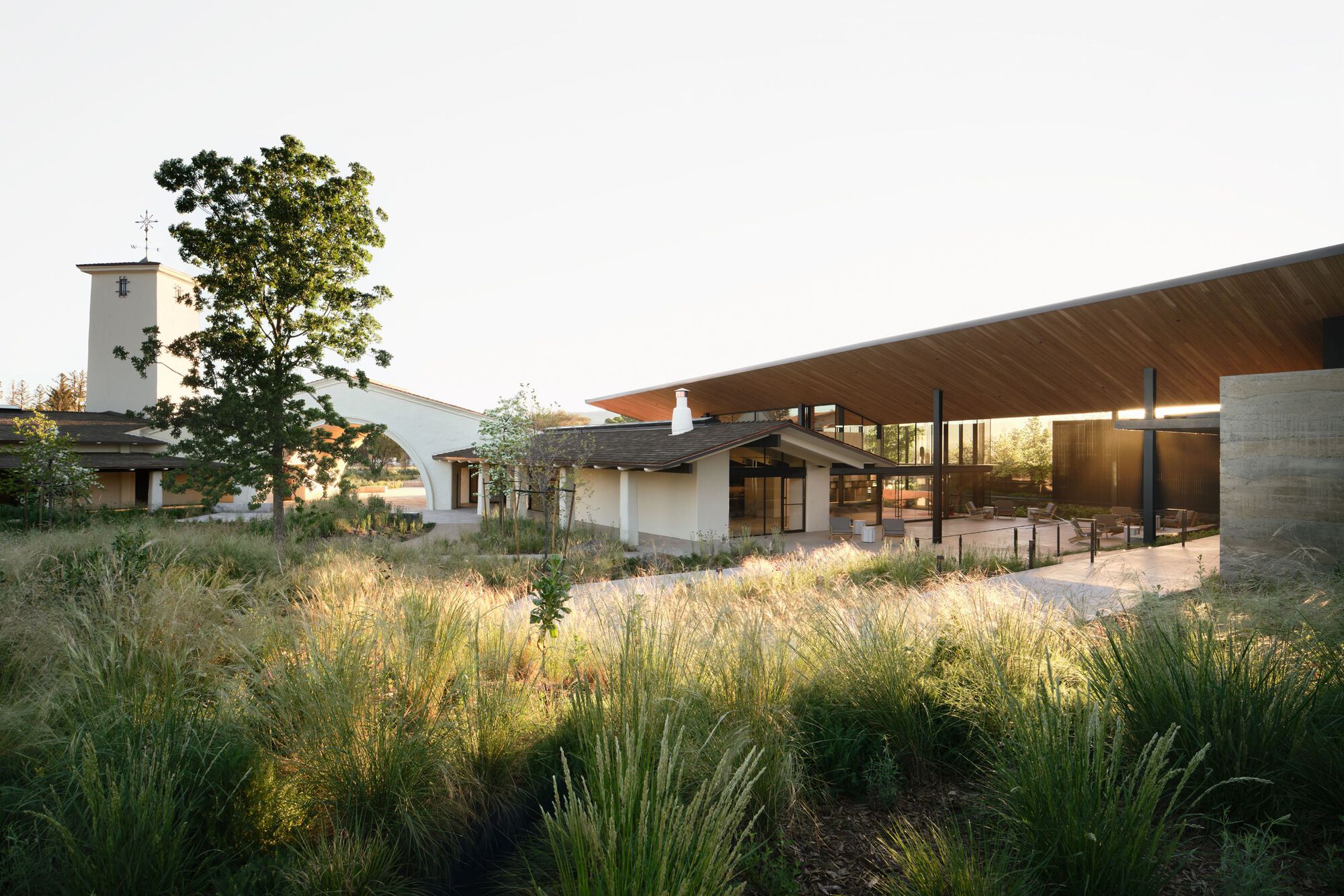 Overall view of the low pavilion with cantilevered timber roof across planted meadow in evening light