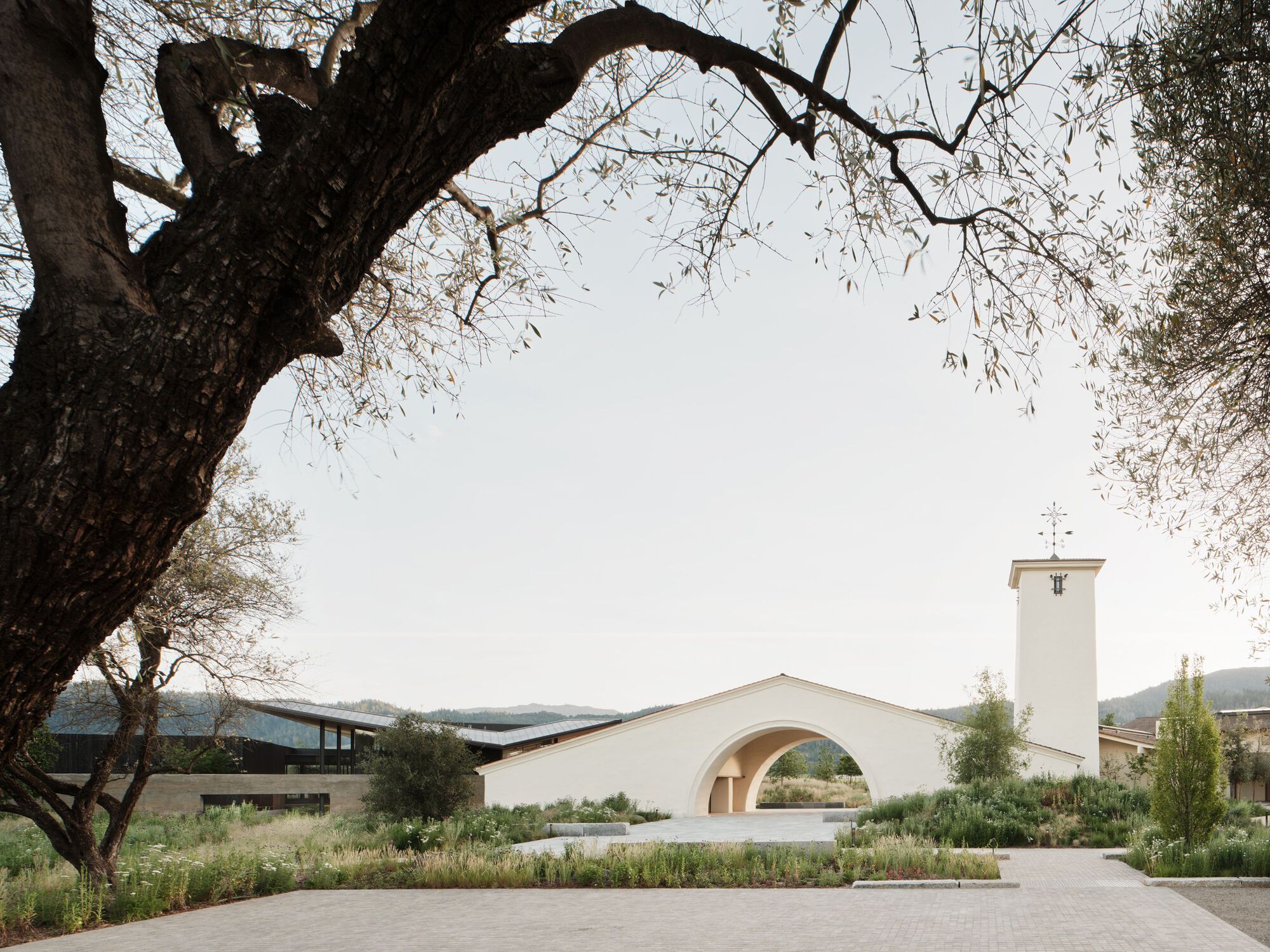 White stucco building with arched opening and bell tower framed by overhanging olive tree branches