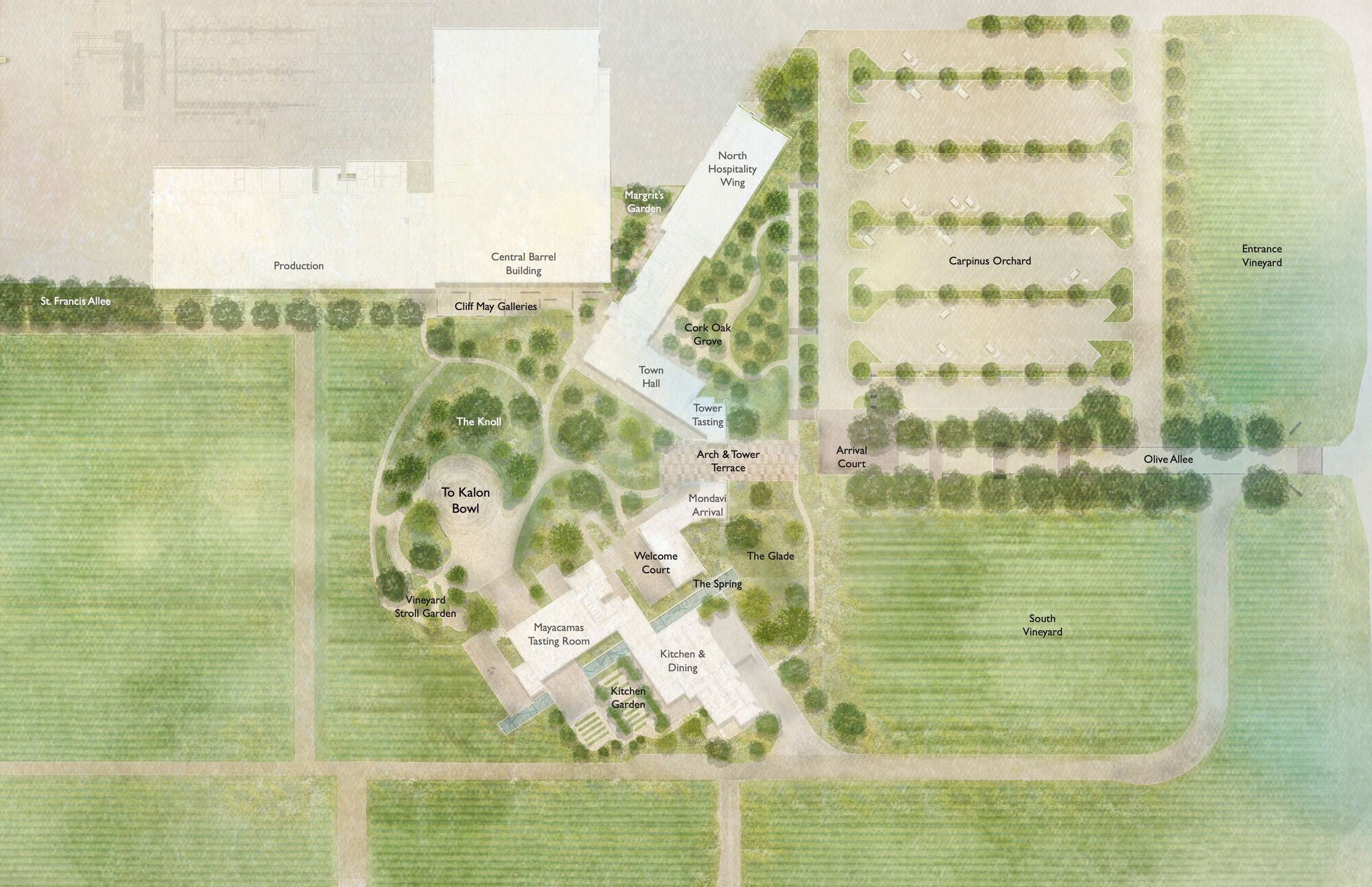 Site plan drawing showing vineyard rows, orchards, and angled building clusters with labelled zones