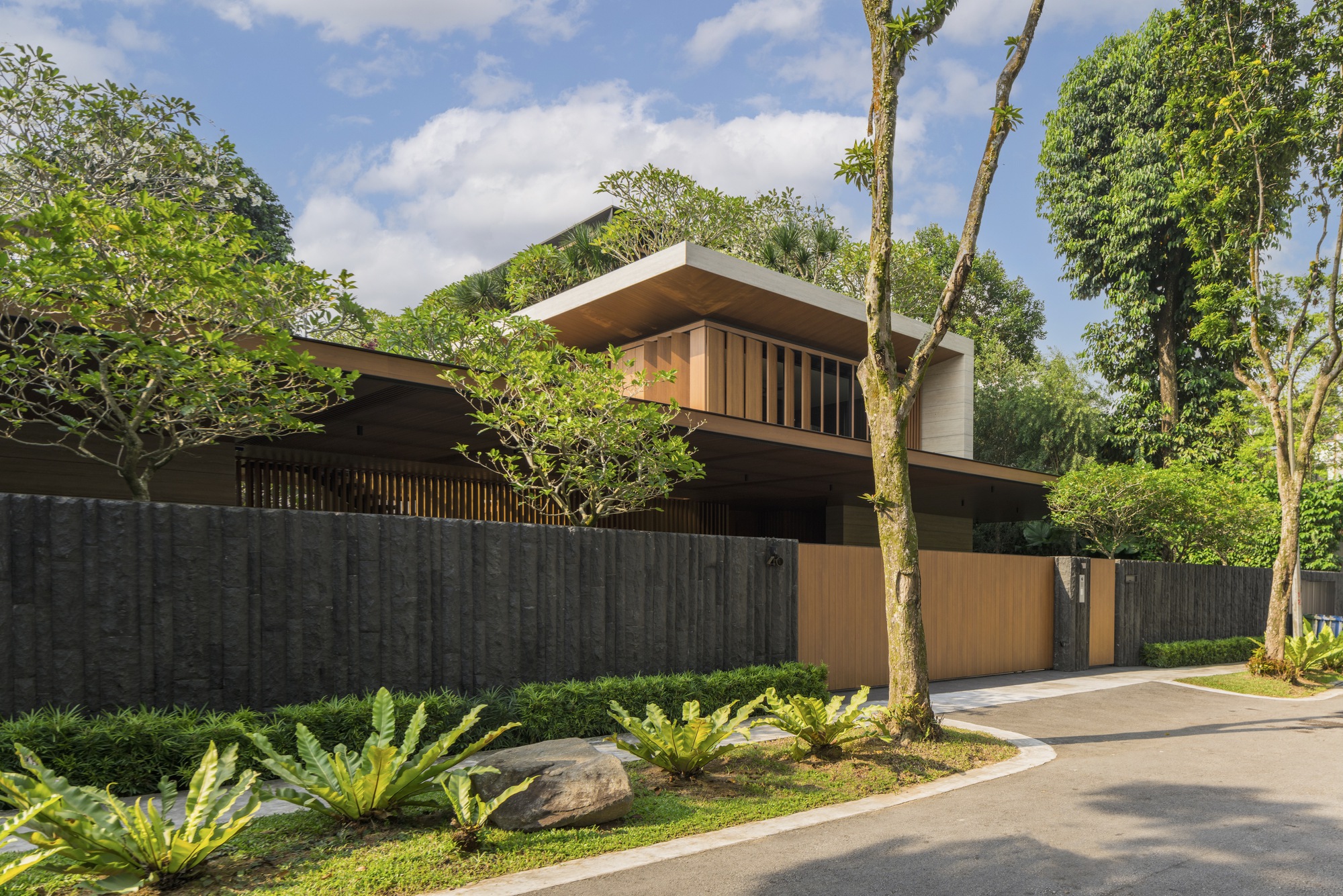 Street view of the timber-clad facade and concrete boundary wall with cycads and boulders in the foreground