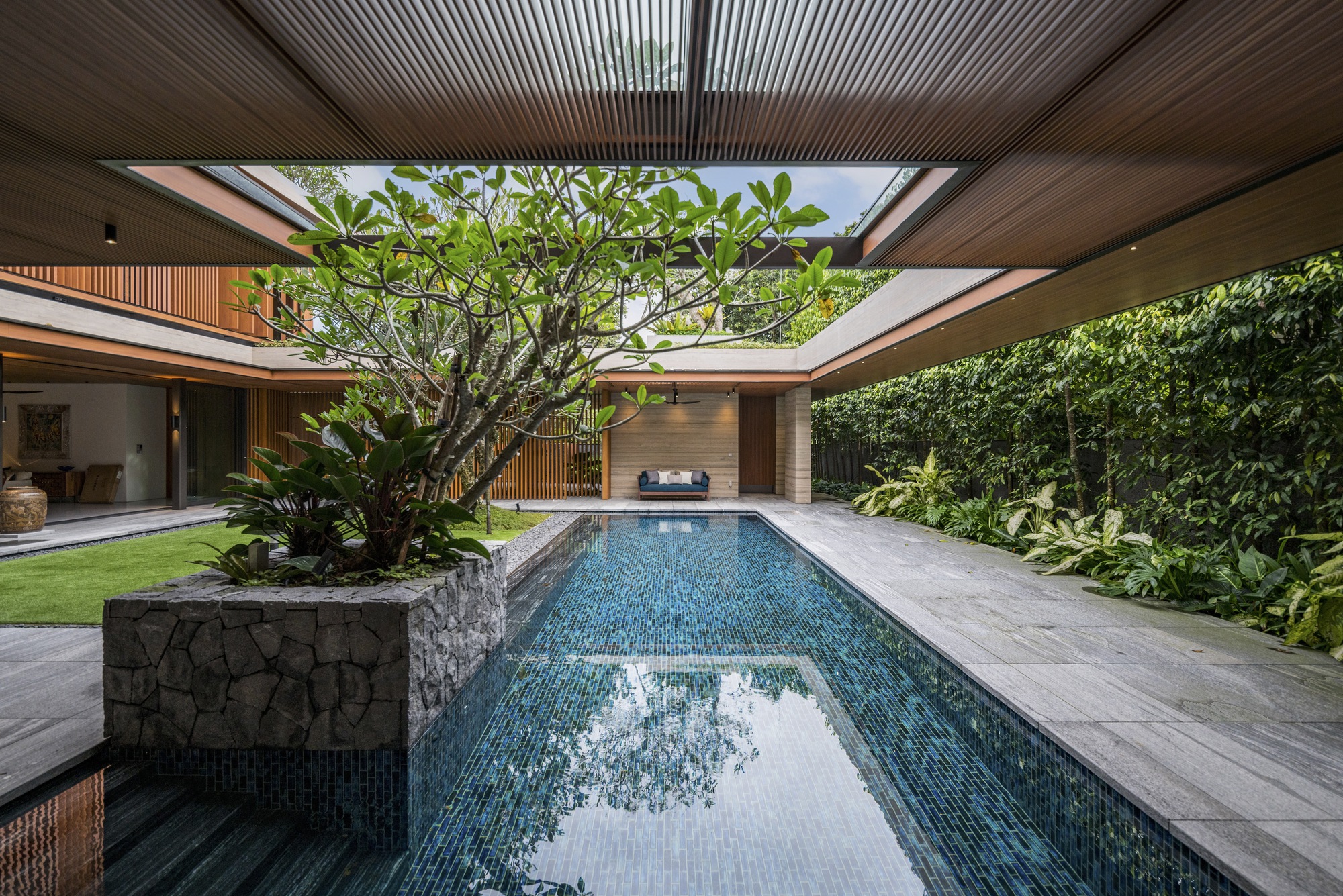 Interior courtyard pool with slatted timber ceiling, planted bed, and a frangipani tree at center