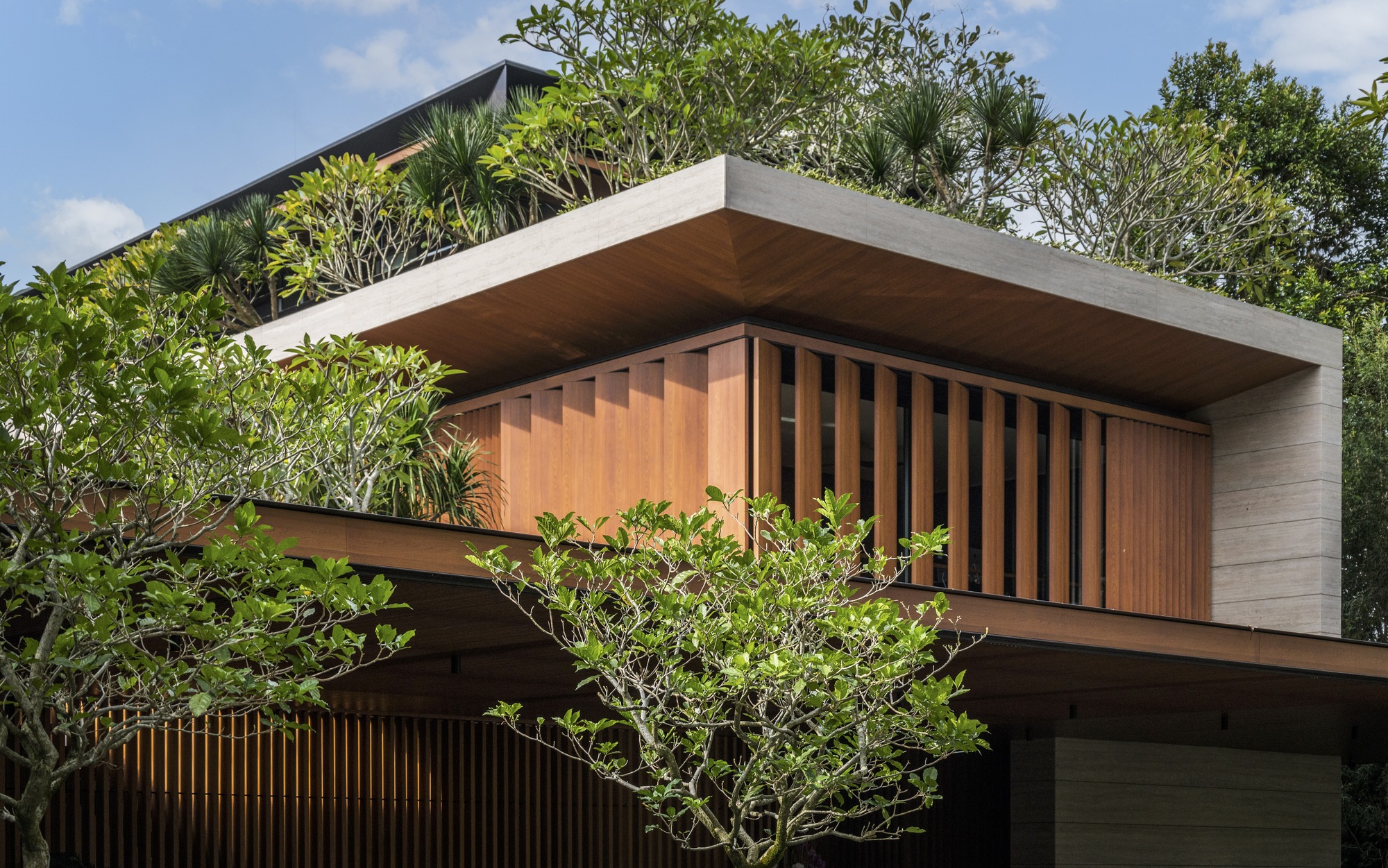 Cantilevered concrete roof overhang with timber slat screen and weathered frangipani tree in foreground