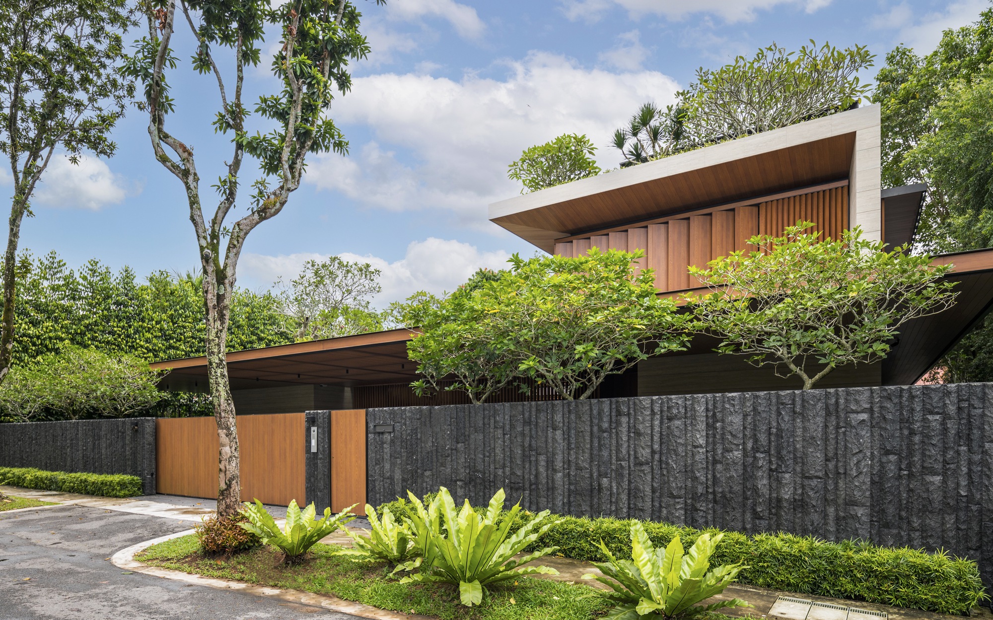 Street view of timber entry gate and textured concrete boundary wall with planted low hedges