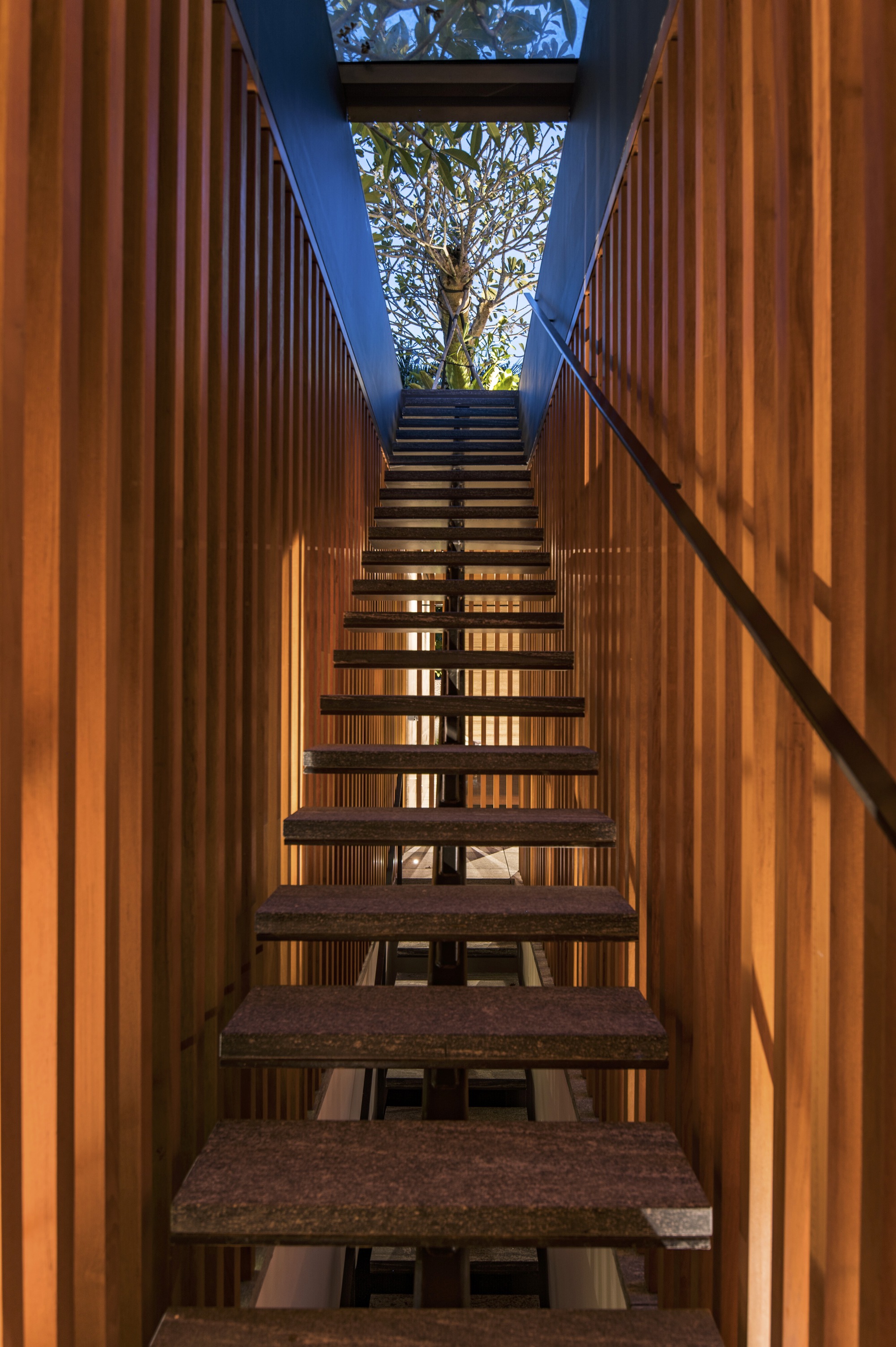 Open-tread staircase rising through vertical timber slat walls toward a skylight and tree canopy