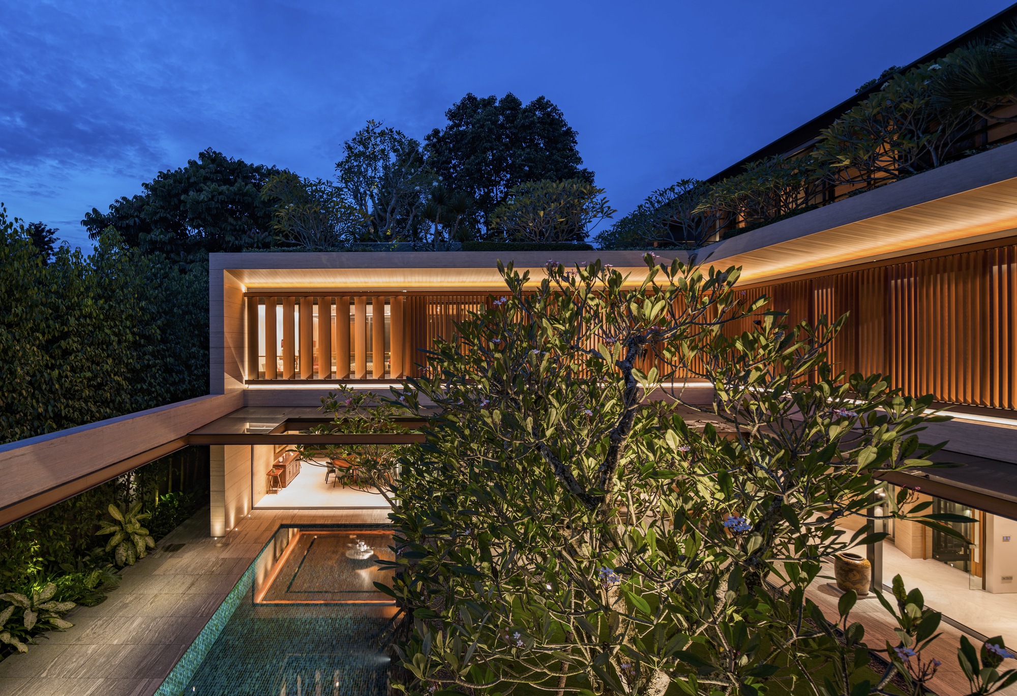 Upper level terrace with vertical timber louvers and rooftop garden visible through frangipani canopy at twilight