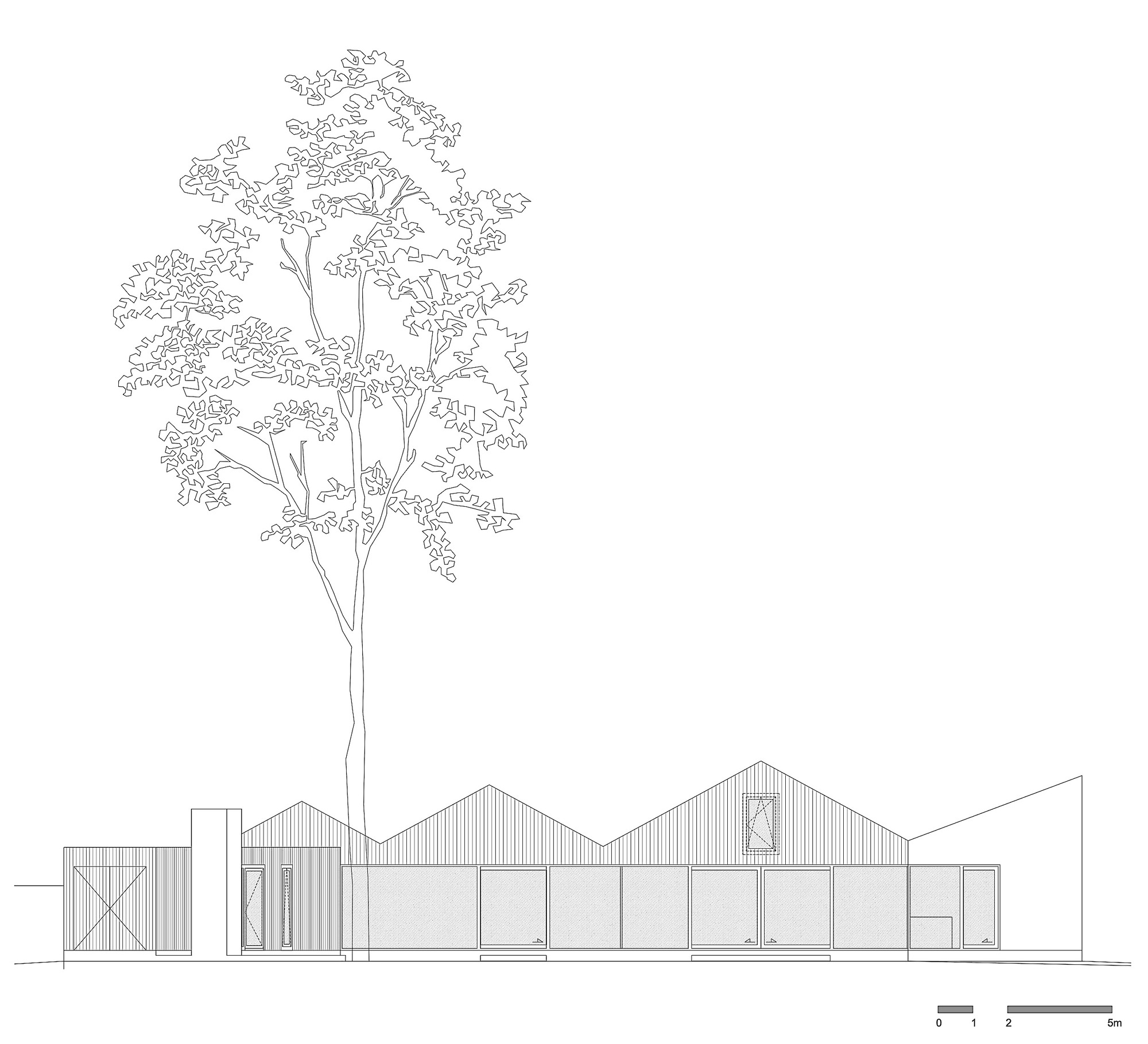 Elevation drawing showing low-pitched roofline with vertical siding and a mature tree in foreground