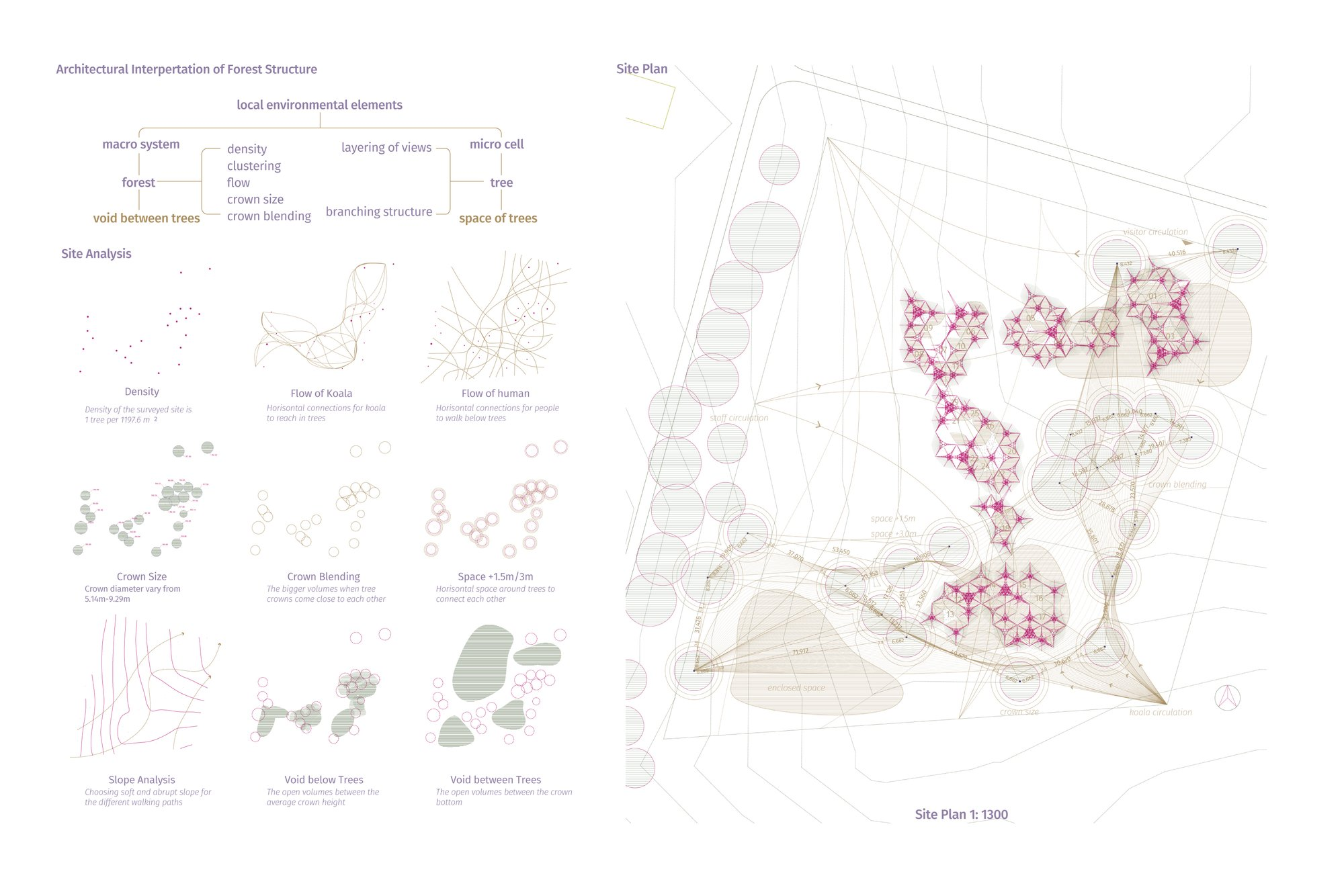 Forest systems translated into an adaptive architectural framework for koala rehabilitation and ecological coexistence.
