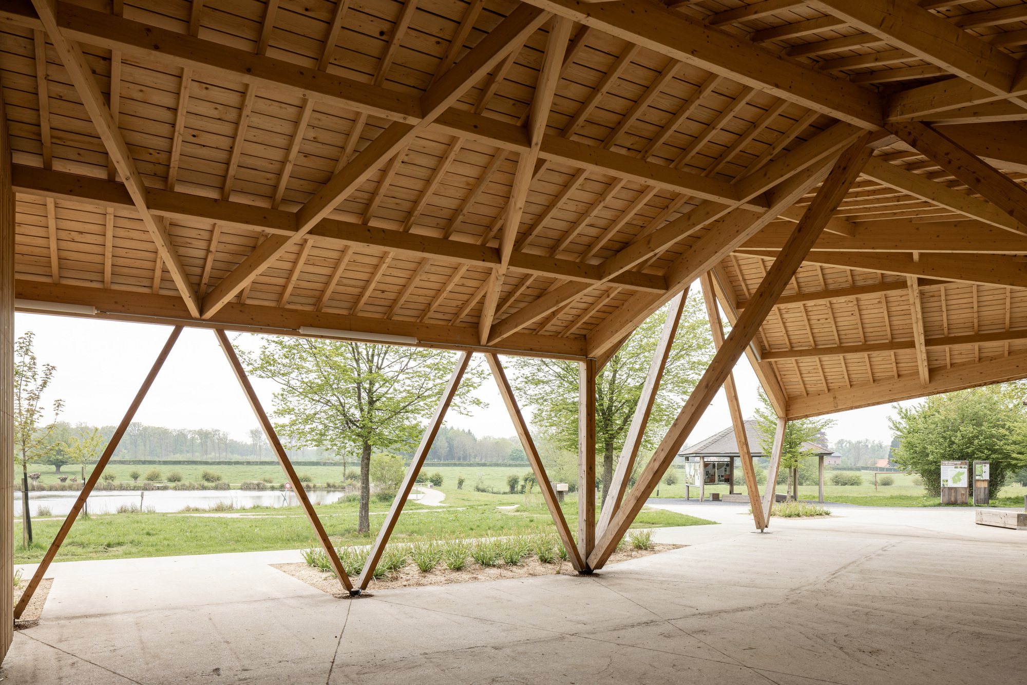 Interior perspective of the timber roof structure with diagonal columns framing views of the landscape