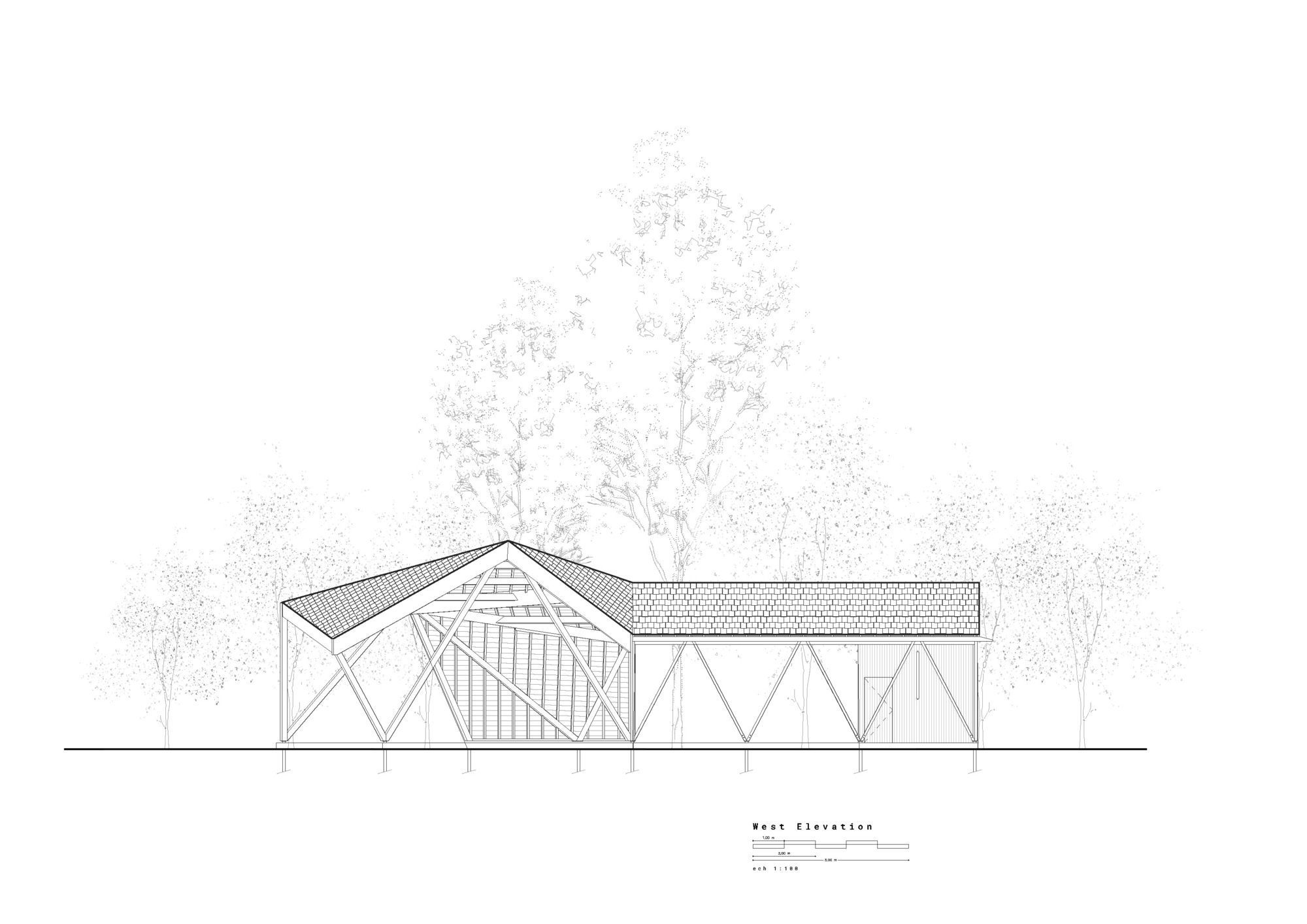 Elevation drawing depicting angled pavilion structure with vertical slatted wall behind trees