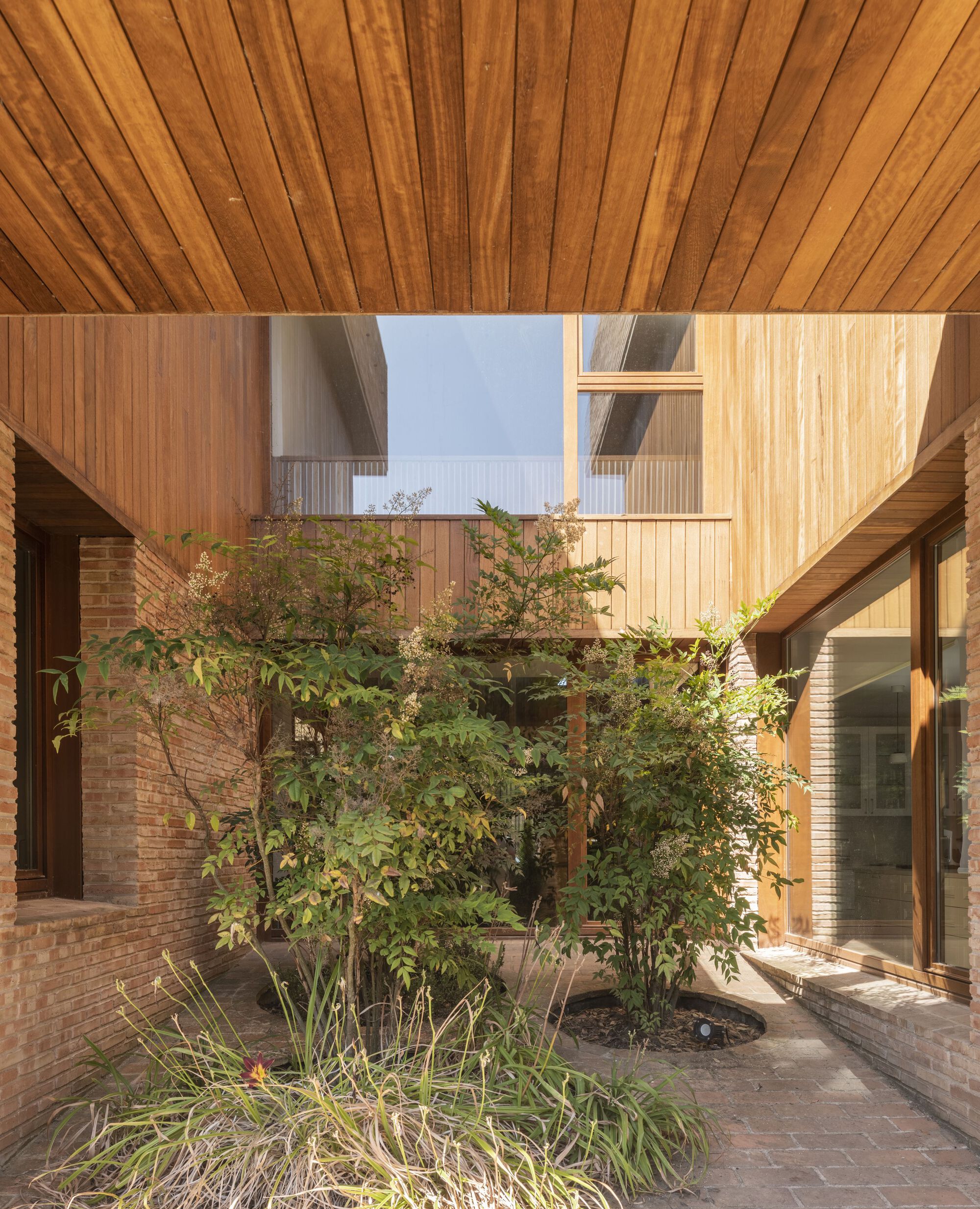 Interior courtyard with planted trees under a timber ceiling open to the sky
