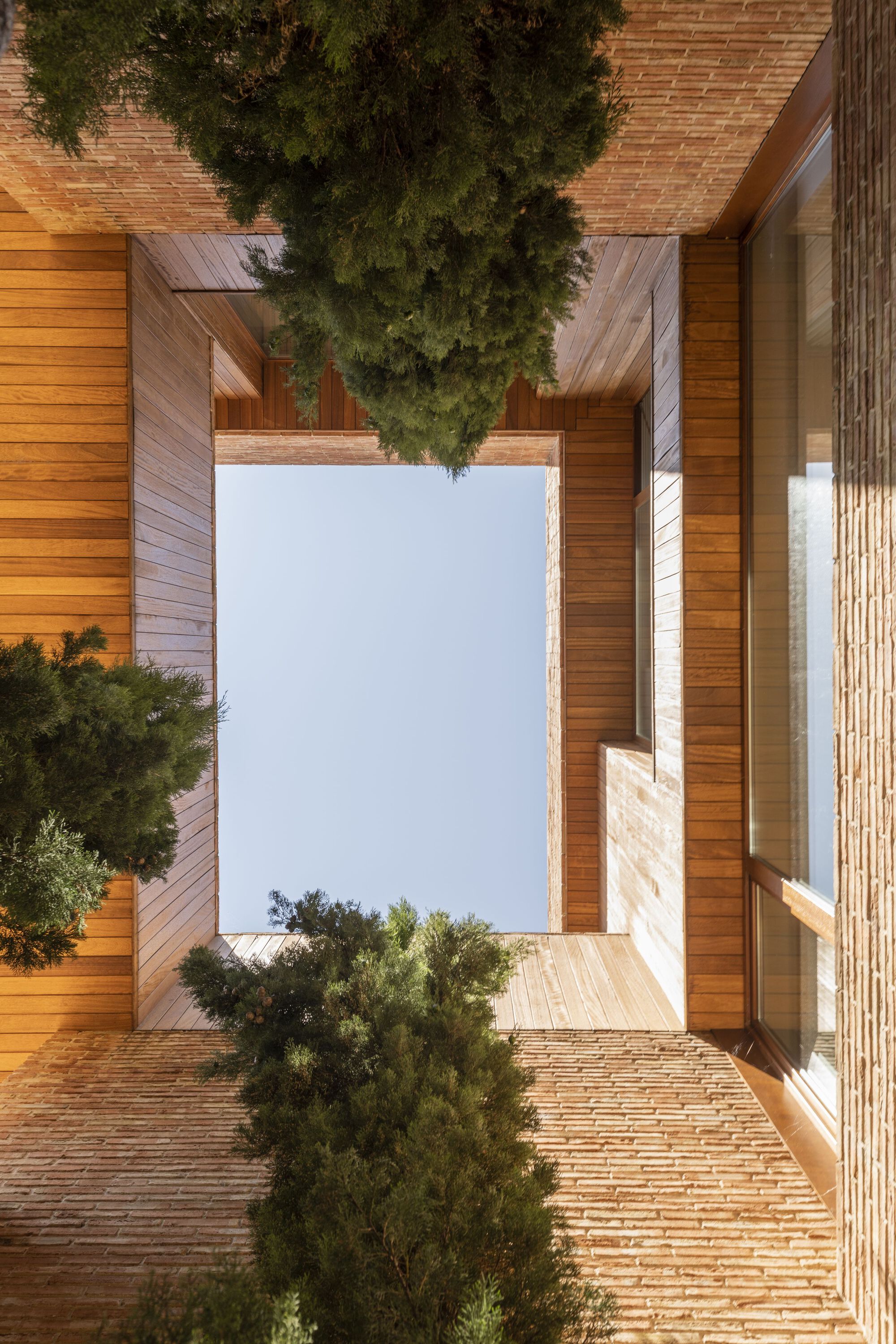 Upward view into a timber-lined courtyard framed by glazing and punctuated by evergreen trees