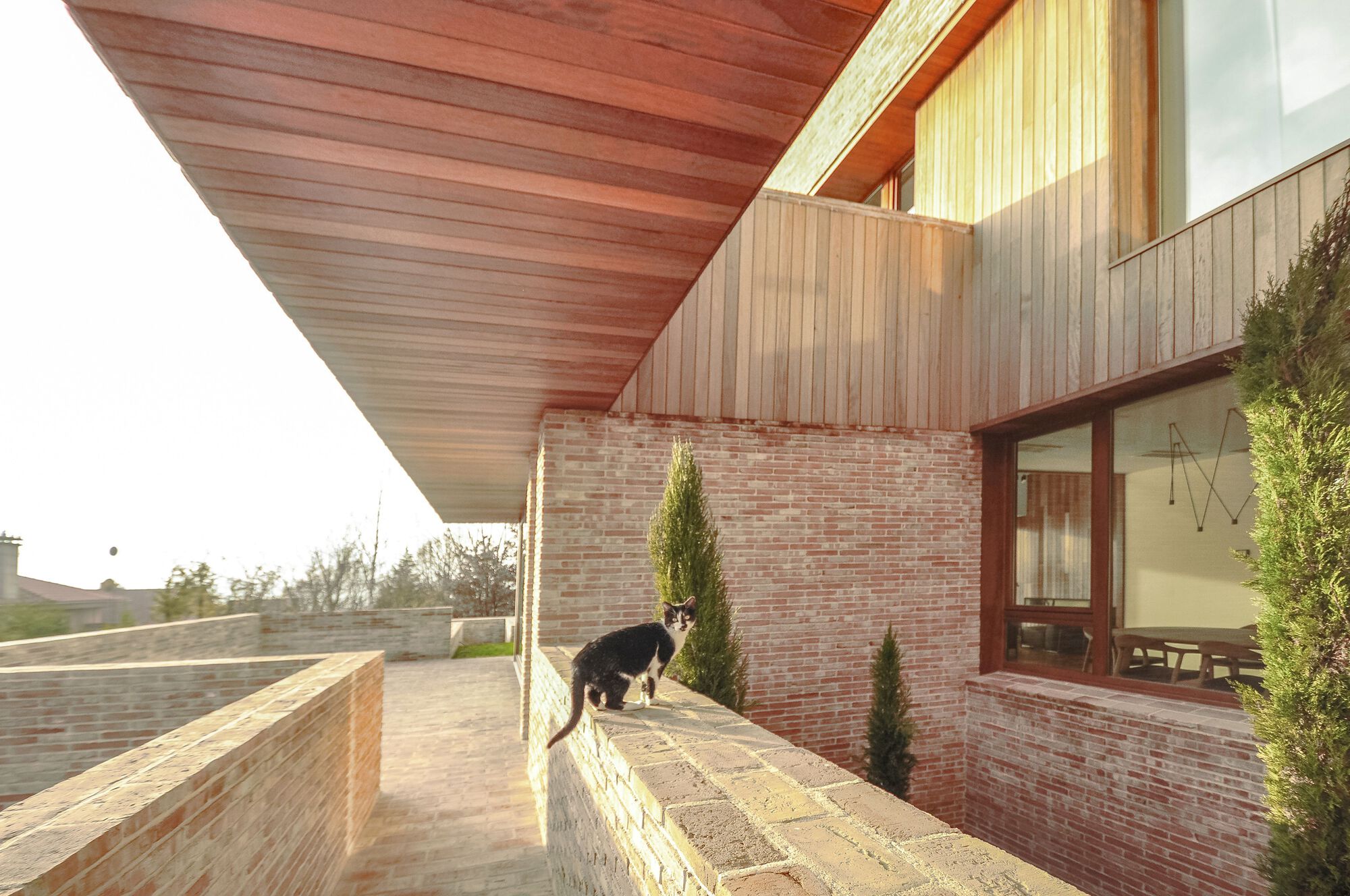 Exterior terrace with timber soffit overhang and brick walls beside a dog and cypress trees