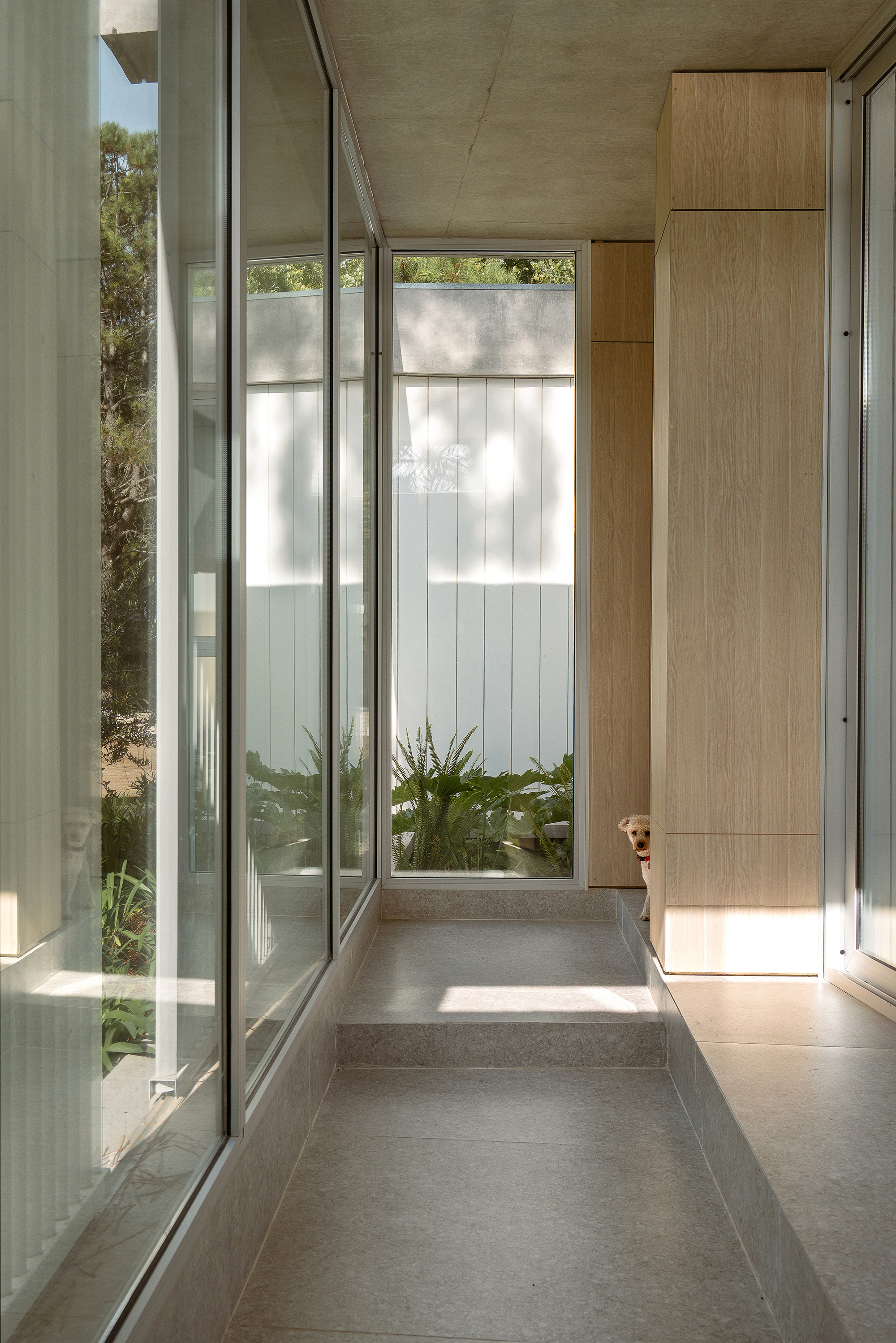 Hallway with floor-to-ceiling glass and concrete step leading to enclosed courtyard with white vertical paneling