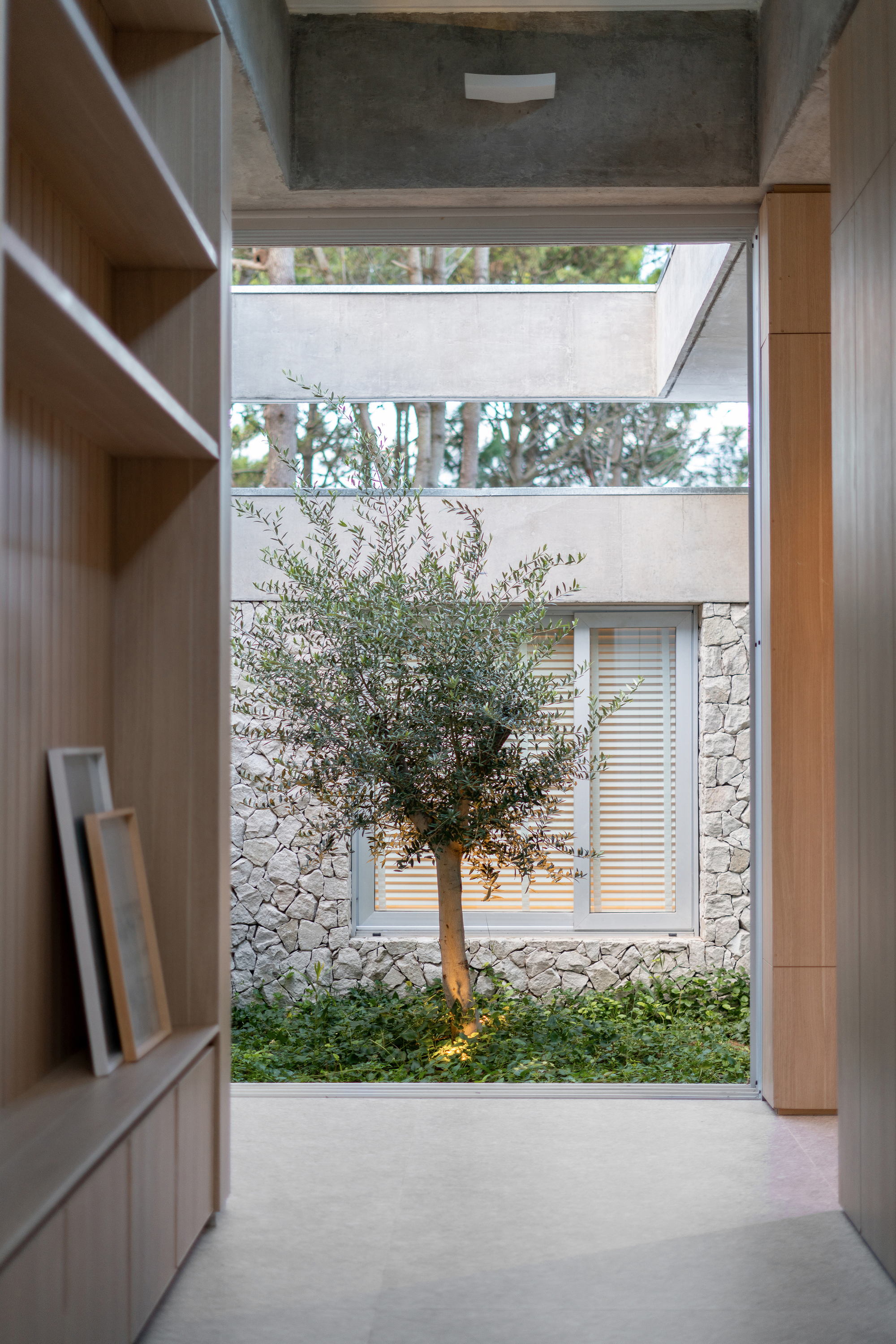 Interior hallway with timber shelving opening to courtyard with single olive tree and stone walls