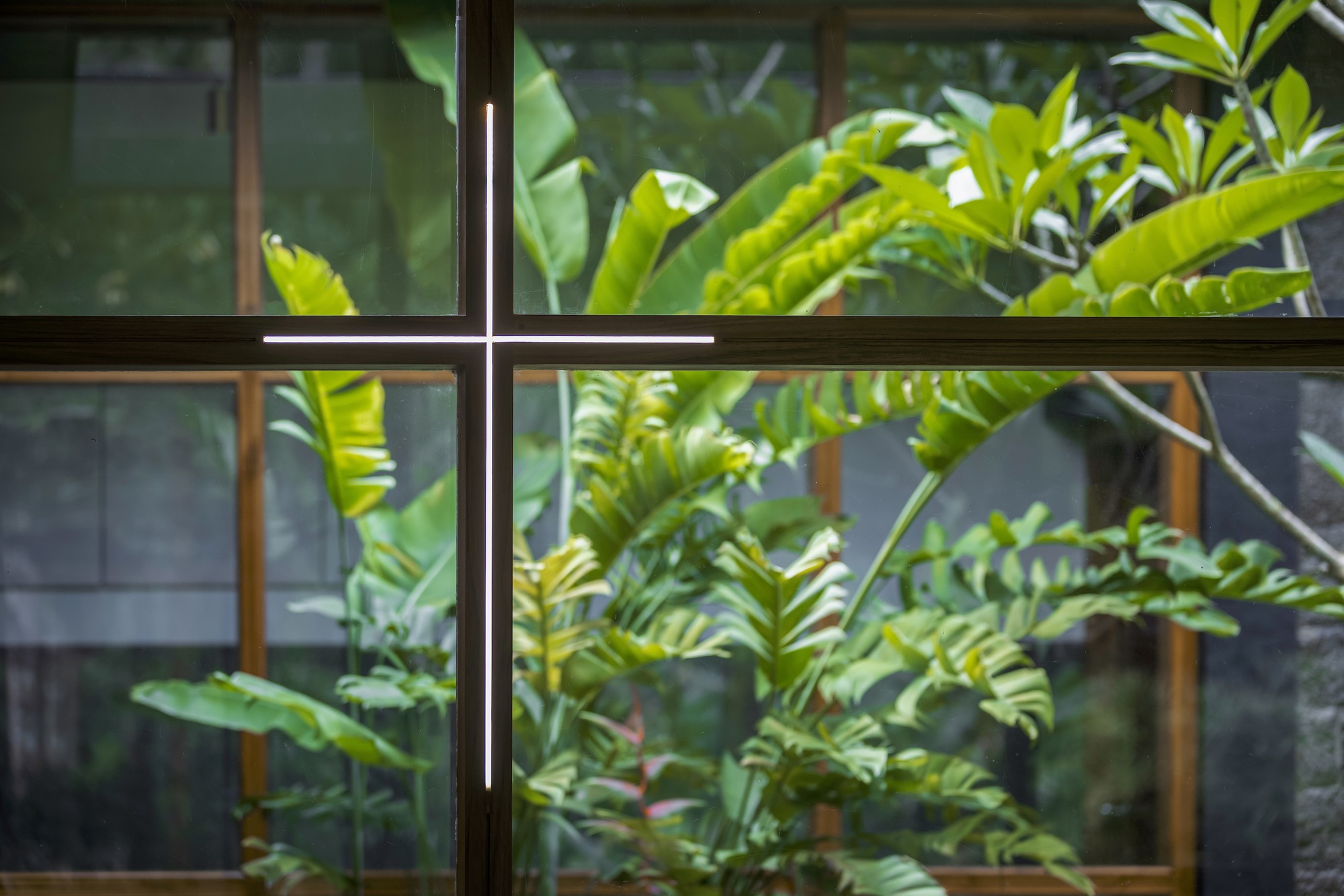 Close-up of steel window mullion cross with tropical foliage and timber frames behind
