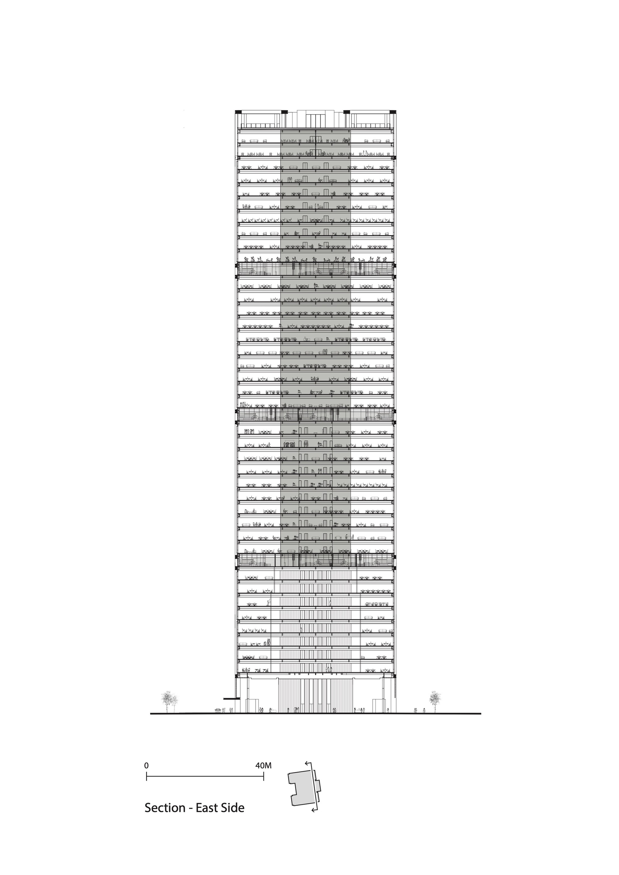 Section drawing through the east side revealing floor plates, vertical circulation cores and mechanical zones