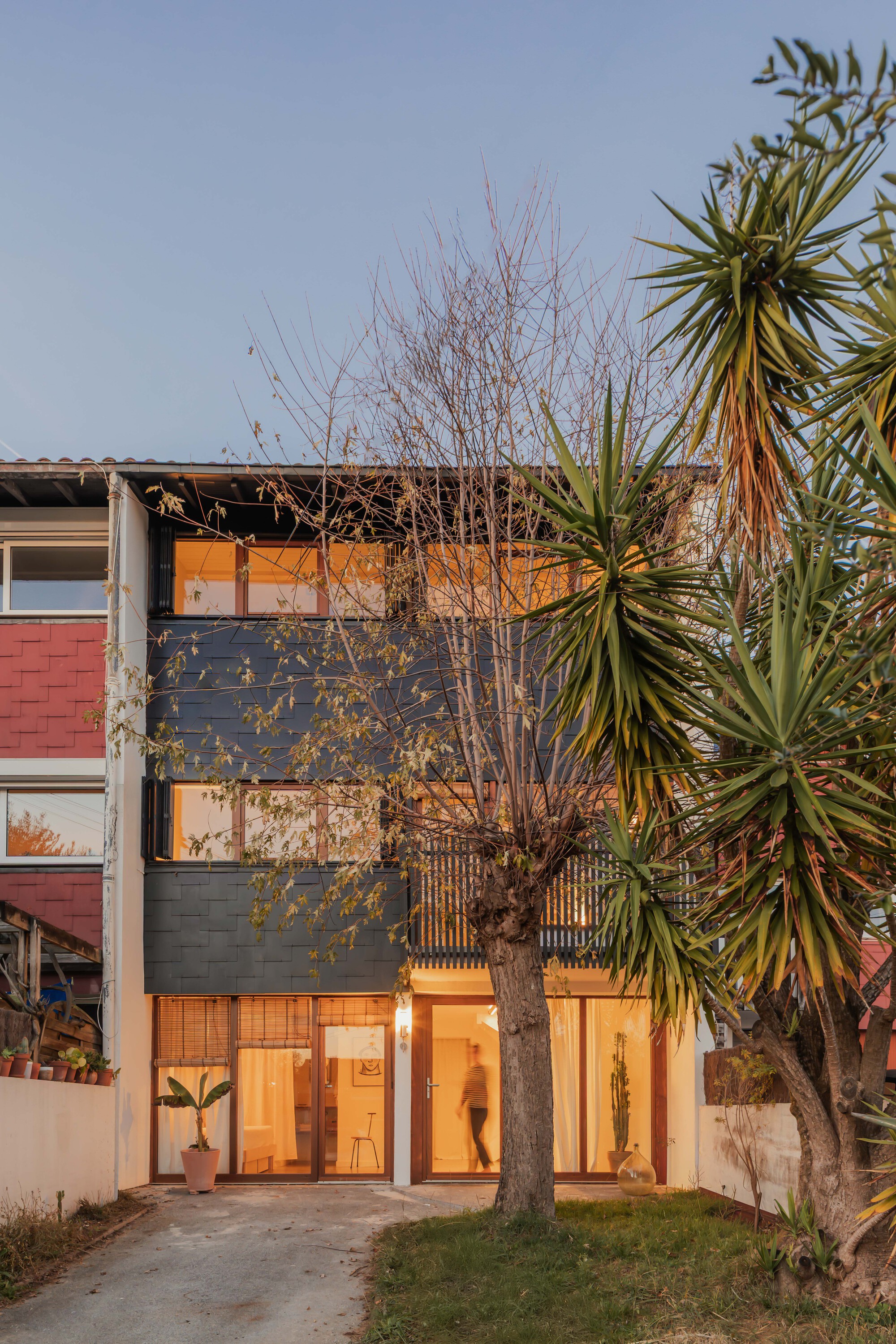 Front facade with dark shingle cladding and timber-framed glazing behind a leafless tree and spiky palms