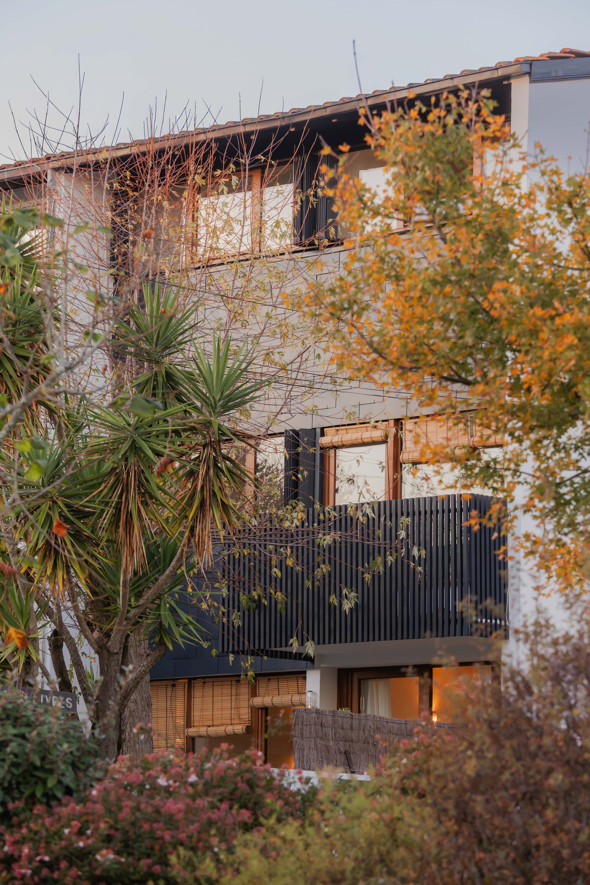 Three-storey facade with corrugated metal balcony screens and timber openings framed by autumn foliage and palms