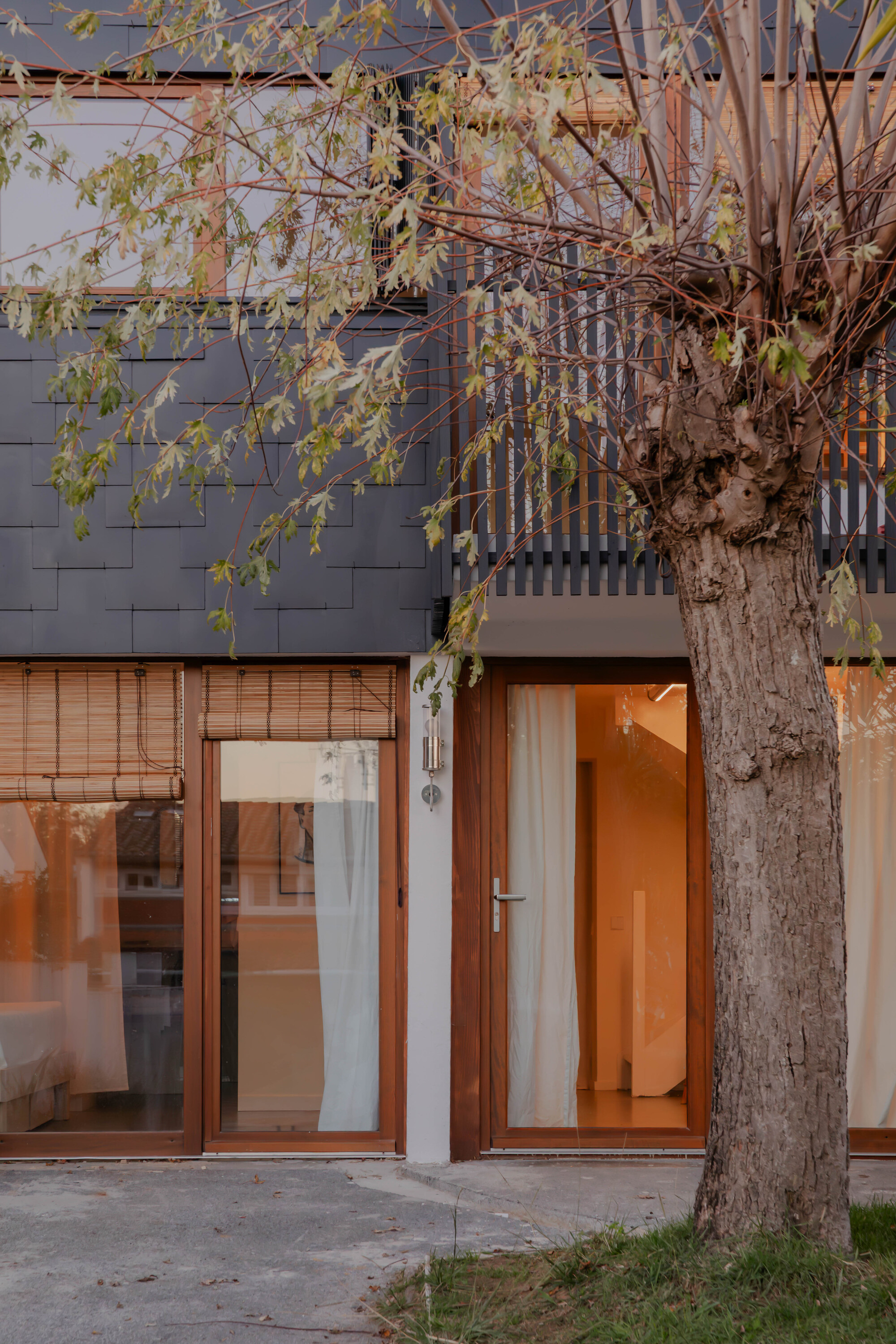 Ground-level entry with timber sliding doors and a vertical slatted screen beneath an overhanging deciduous tree