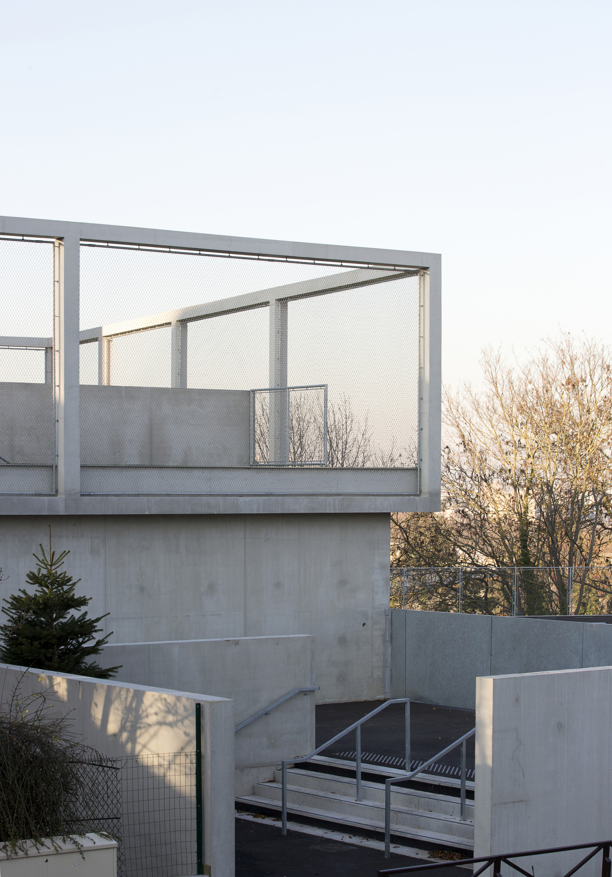 Concrete terrace with metal railing and mesh balustrade framed by bare trees in late afternoon light