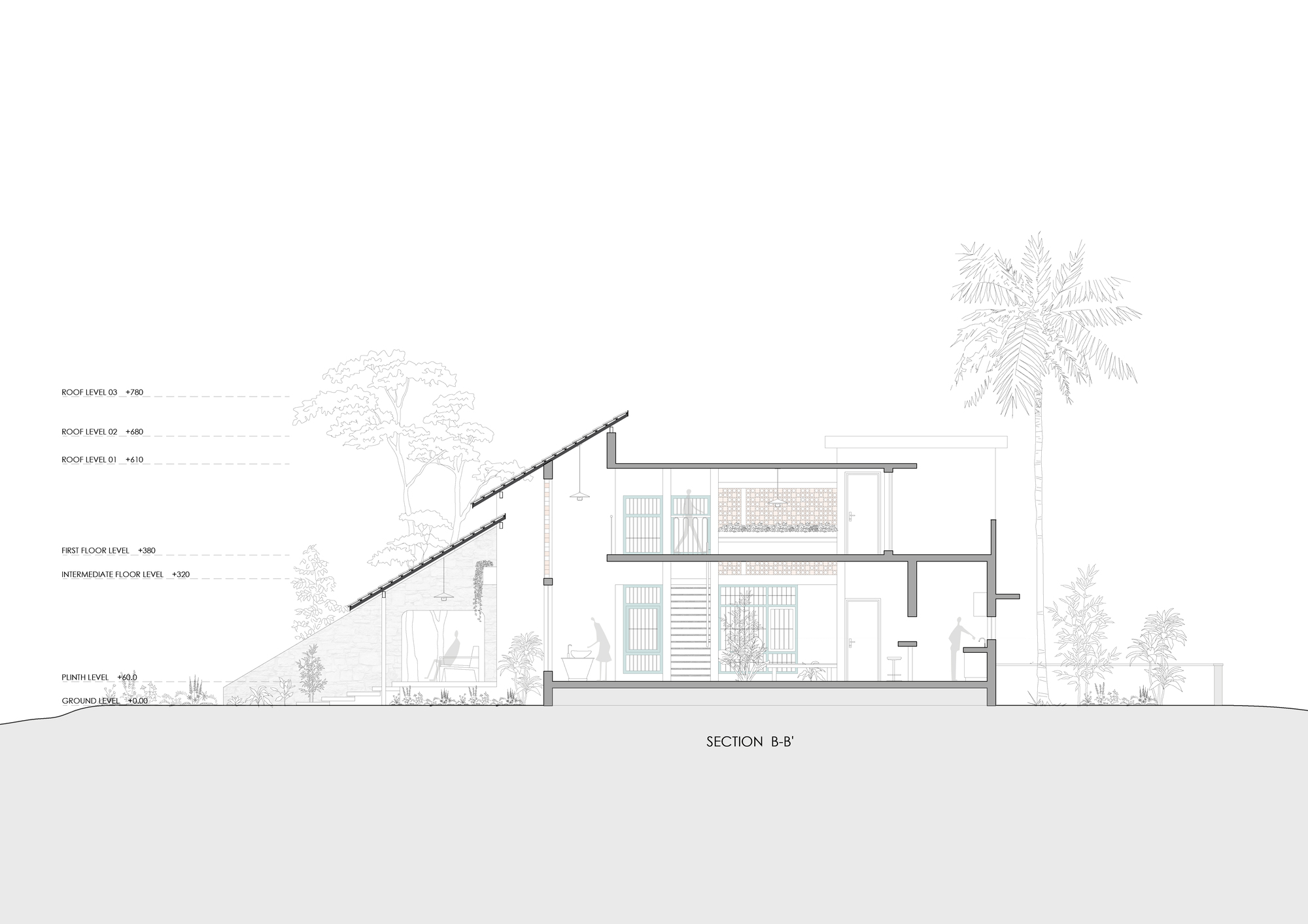 Building section drawing showing sloped roof, interior levels, and integrated landscape vegetation