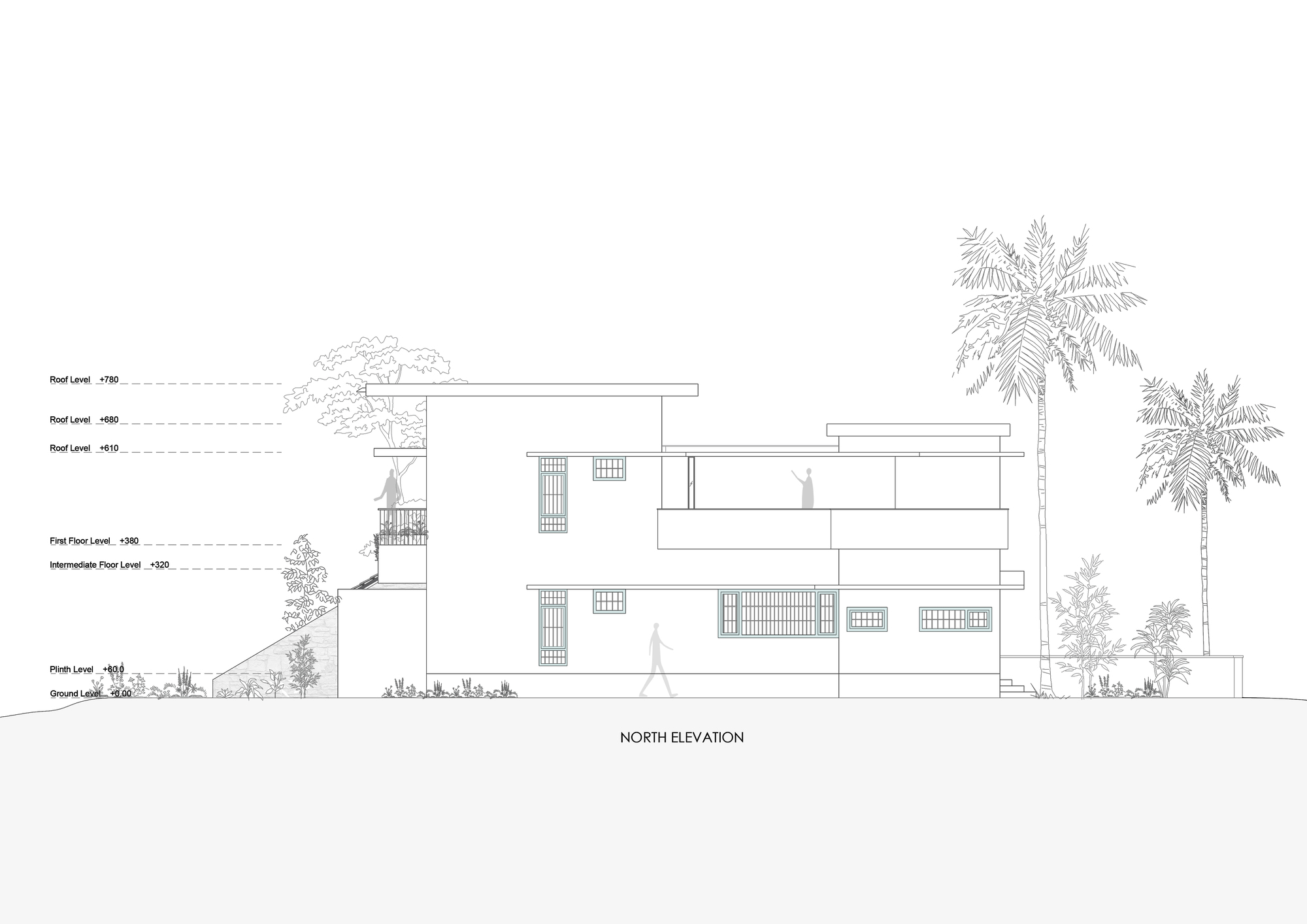 North elevation drawing showing a multi-level residence with horizontal slabs and palms
