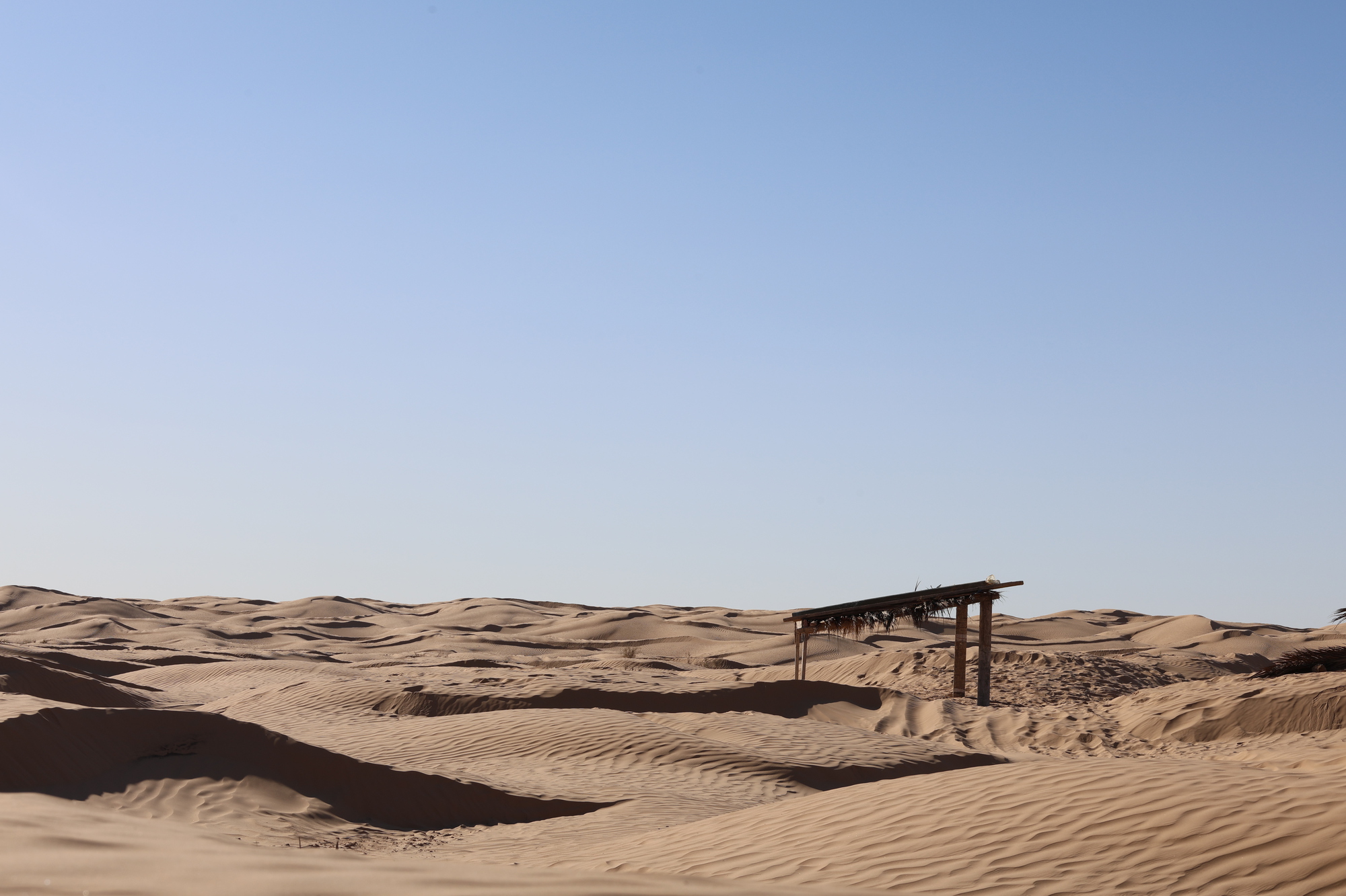 Timber post and beam shelter with thatched roof perched atop sand dunes under clear blue sky
