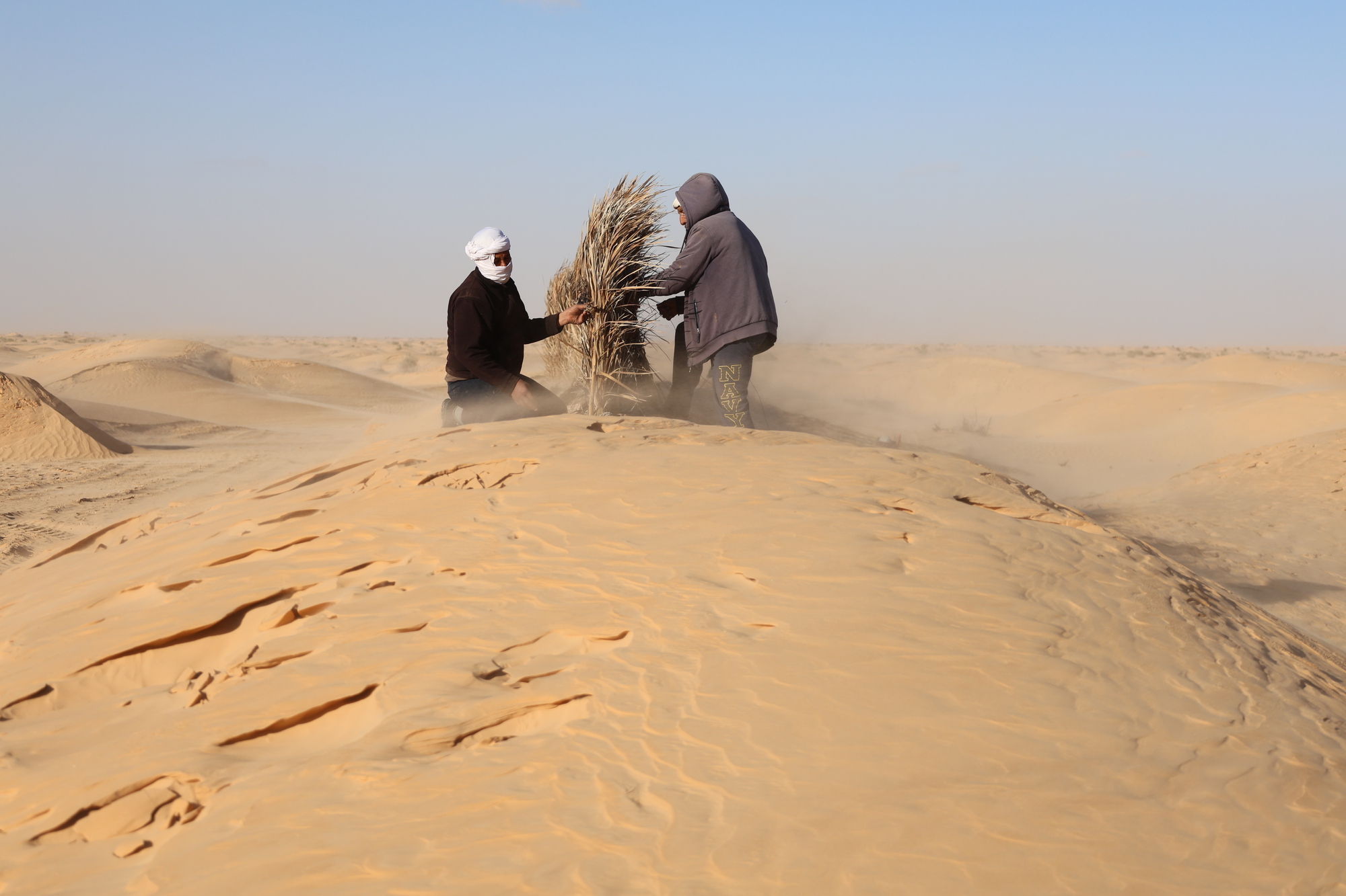Domed earth roof with brick ribs emerging from sand as two workers handle dried grass bundles