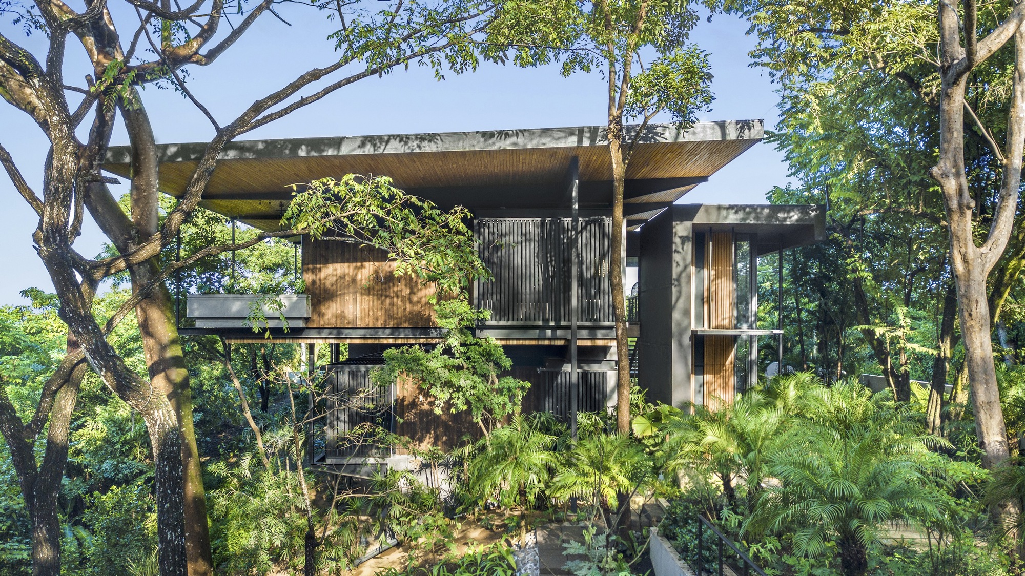 Elevated concrete and timber volumes nestled among mature trees and tropical plantings