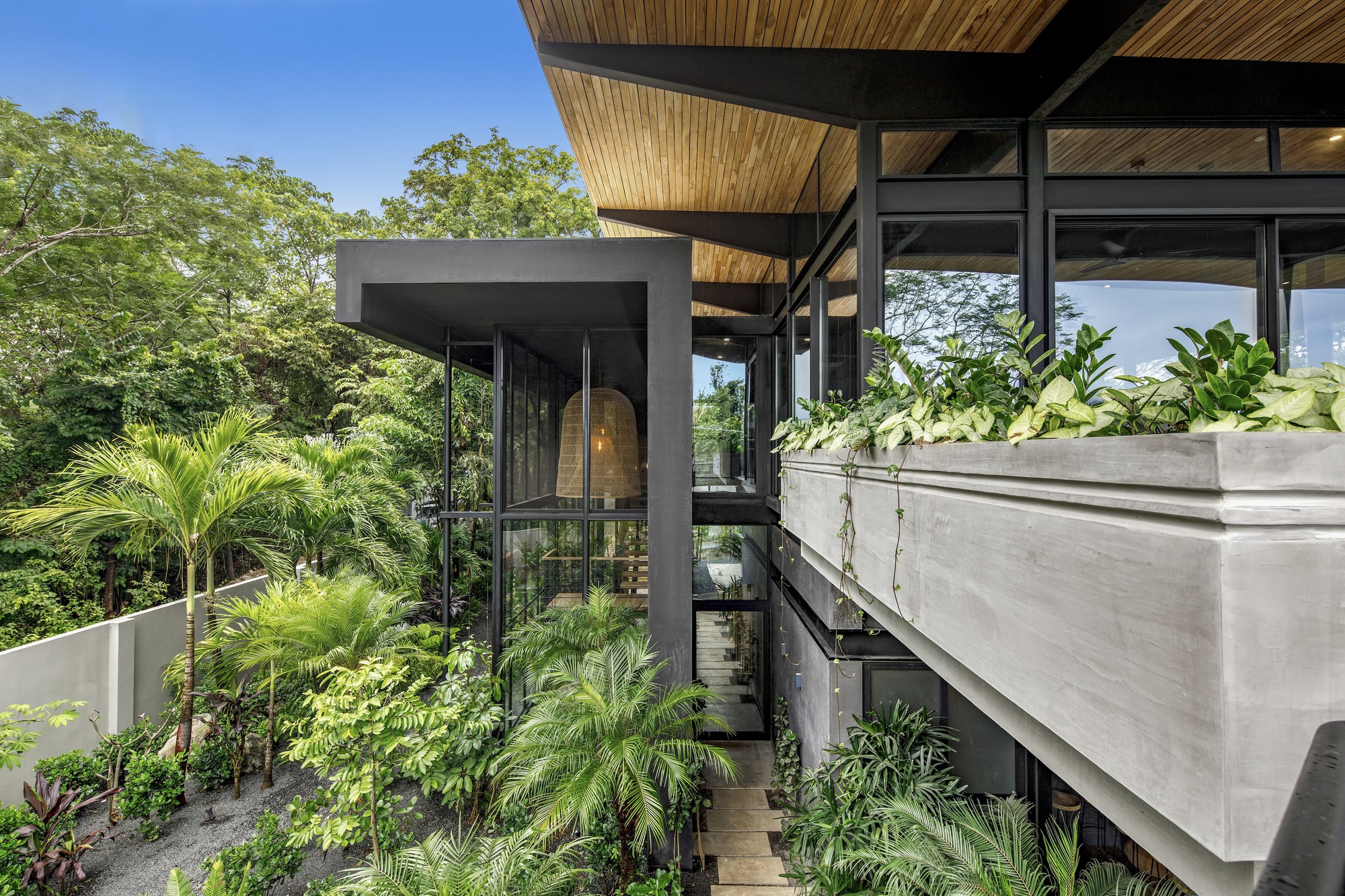 Concrete planter boxes with vegetation beside timber-lined soffits and glass enclosure