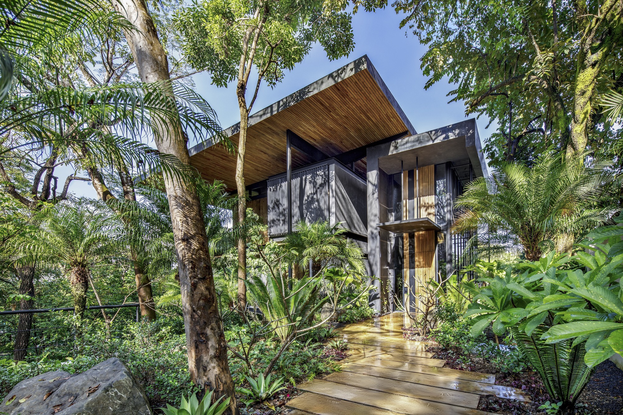 Timber boardwalk entry path through palms and tropical foliage leading to the residence