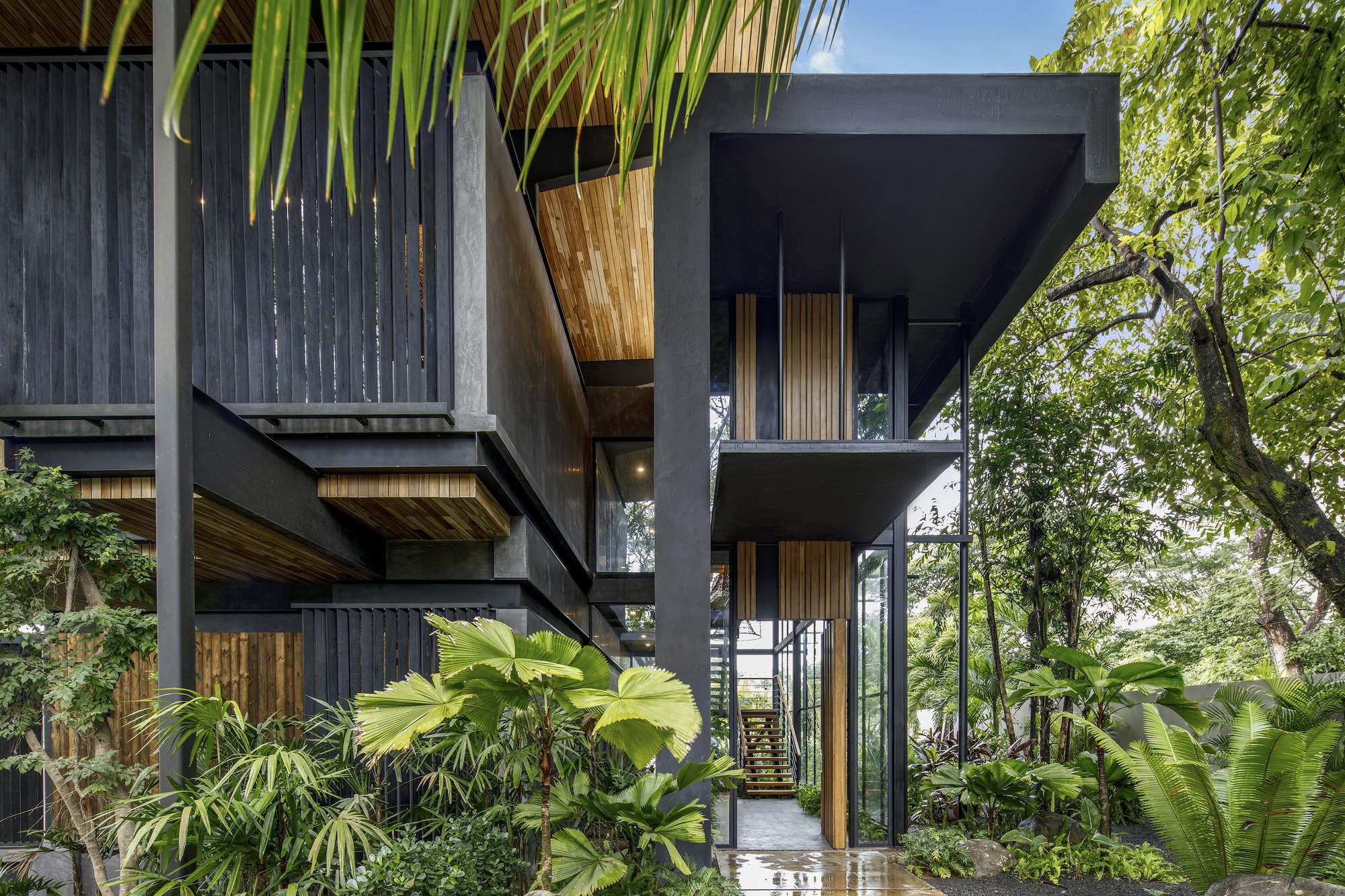 Exterior facade showing stacked volumes in black steel with timber soffits and tropical planting