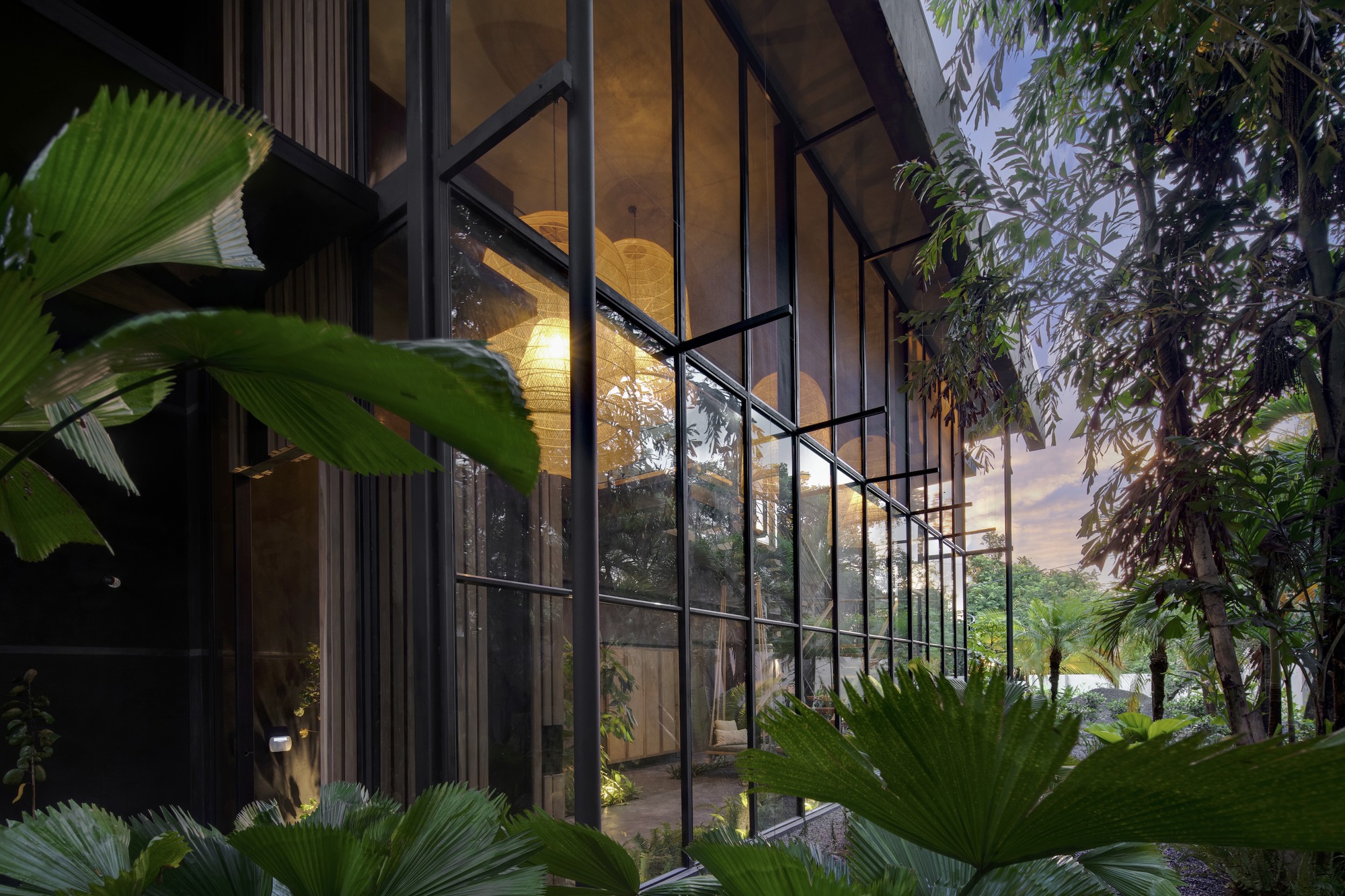 Glass curtain wall facade framed by palms and tropical foliage at dusk with interior lights glowing