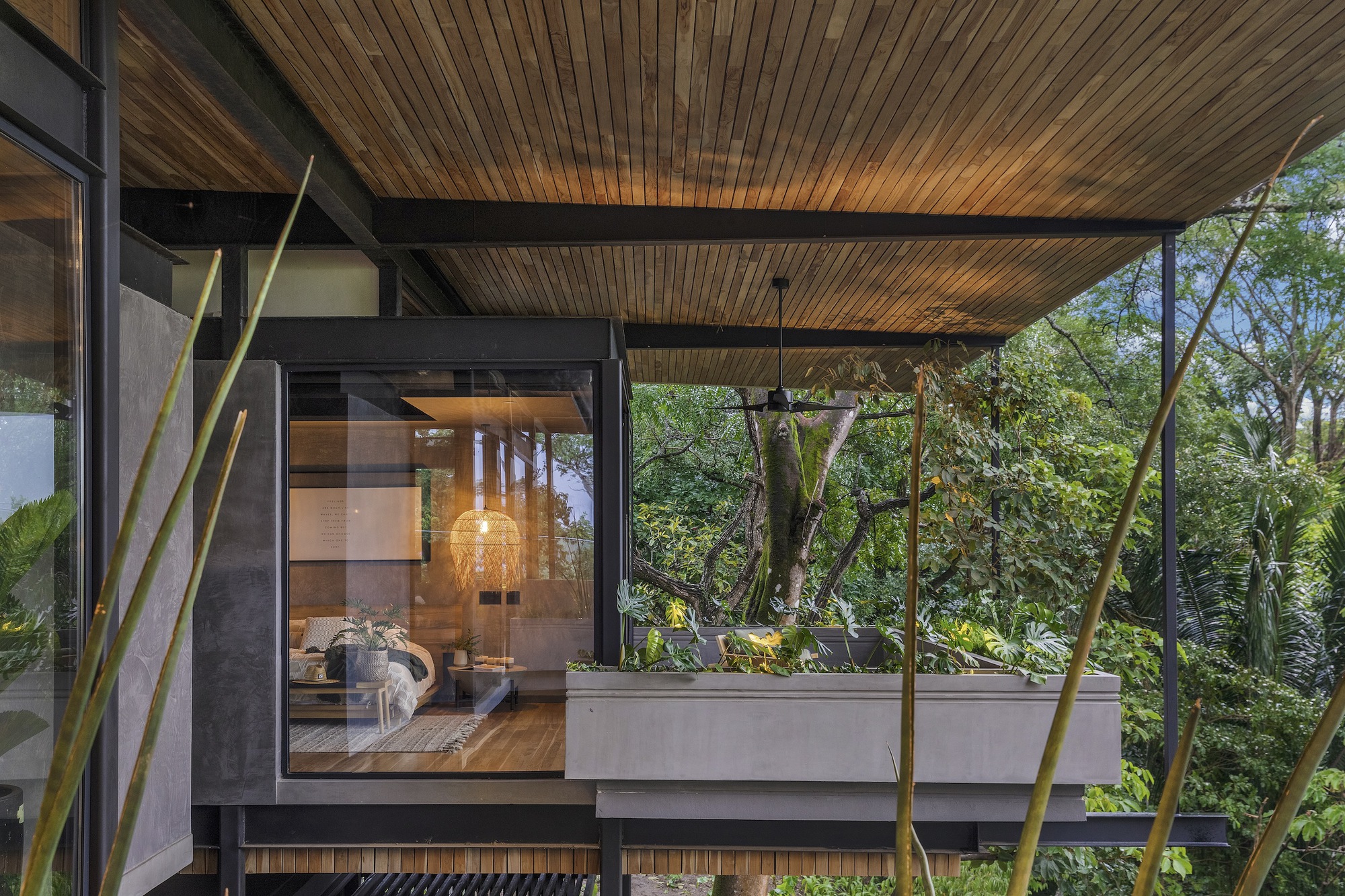Covered terrace with timber ceiling and planted bed framed by bamboo stalks and forest beyond