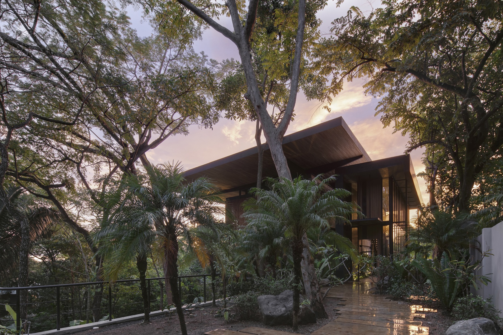 Angled timber roof volumes rising above dense foliage and palms in evening light