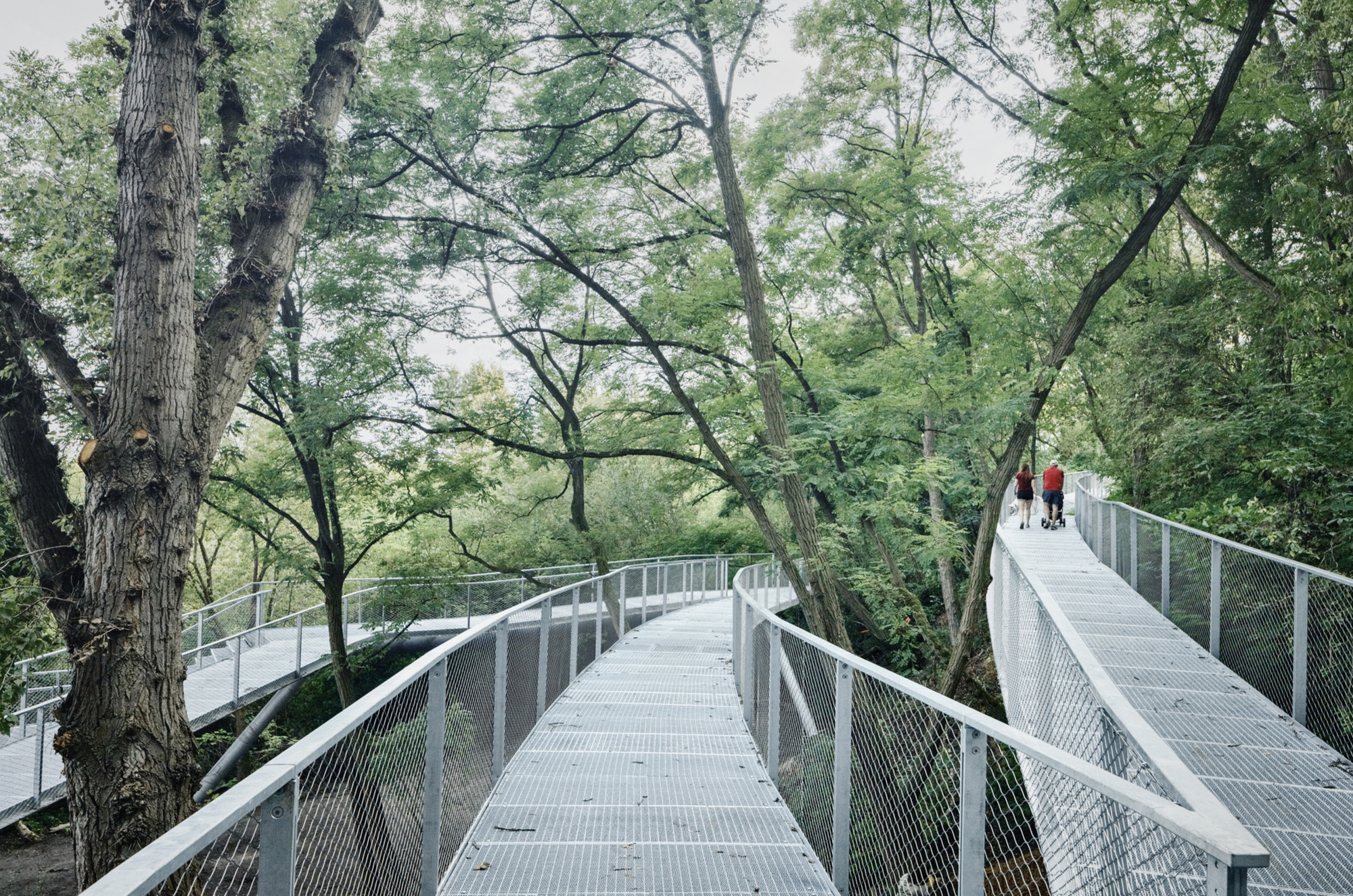 Elevated metal mesh walkway winding through dense tree canopy with two figures in the distance