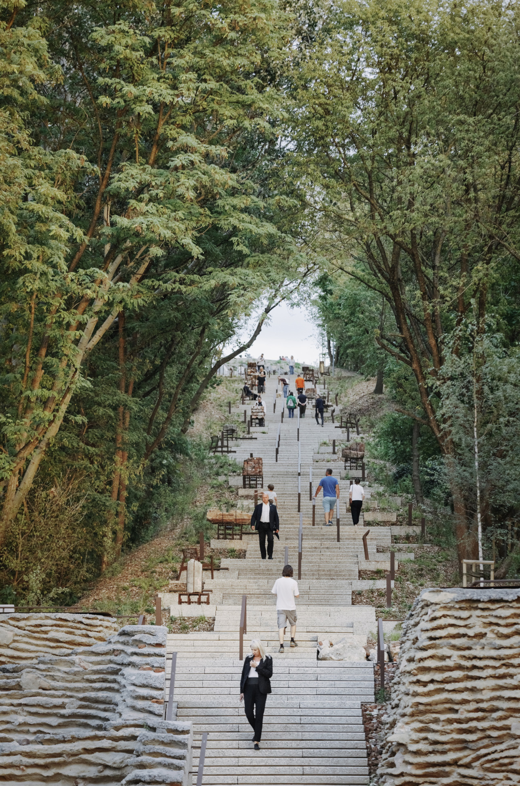 Long timber staircase rising through tree-framed clearing with visitors scattered along the steps