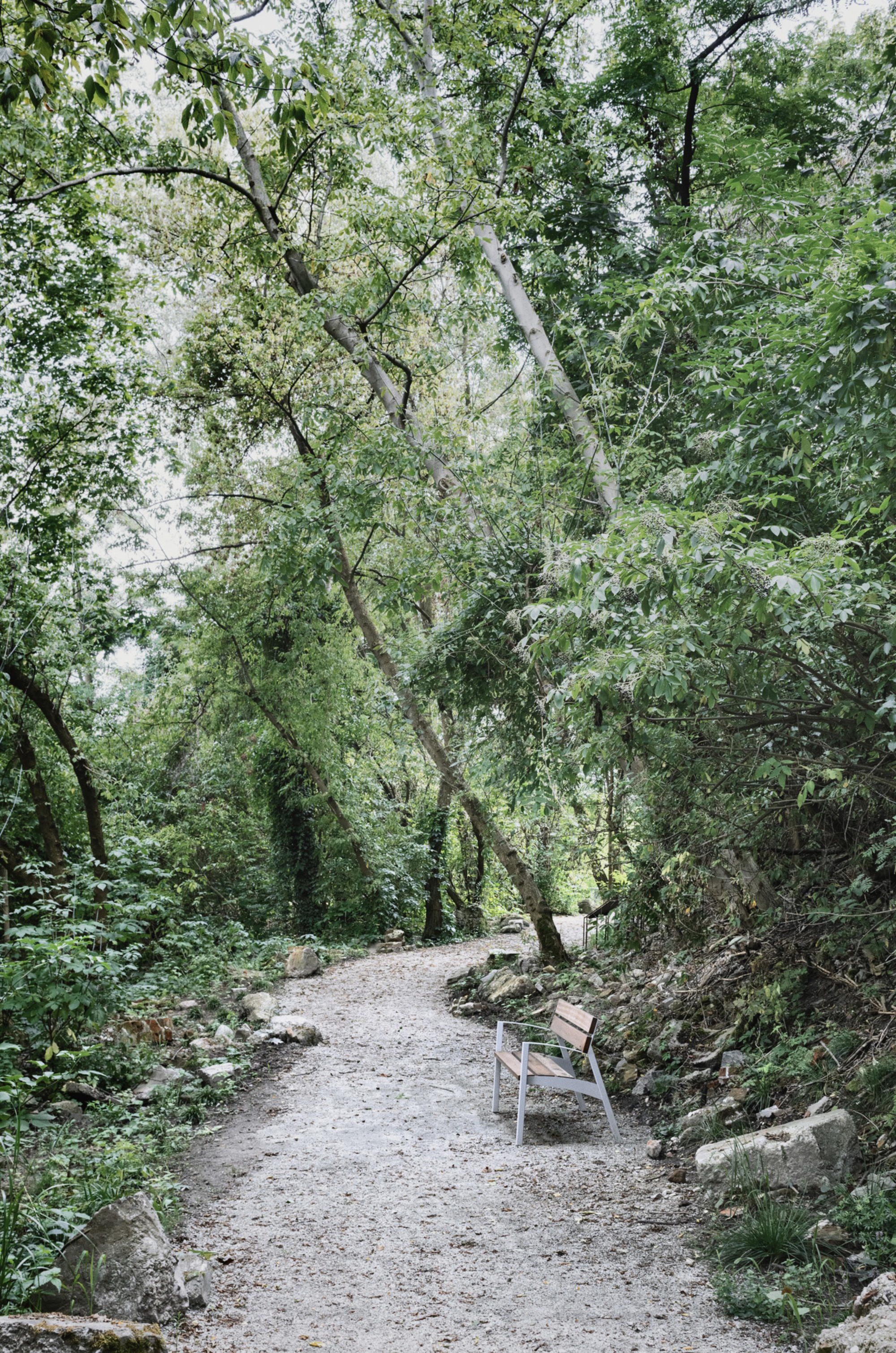 Gravel path with wooden bench alongside trees and scattered boulders in dappled shade